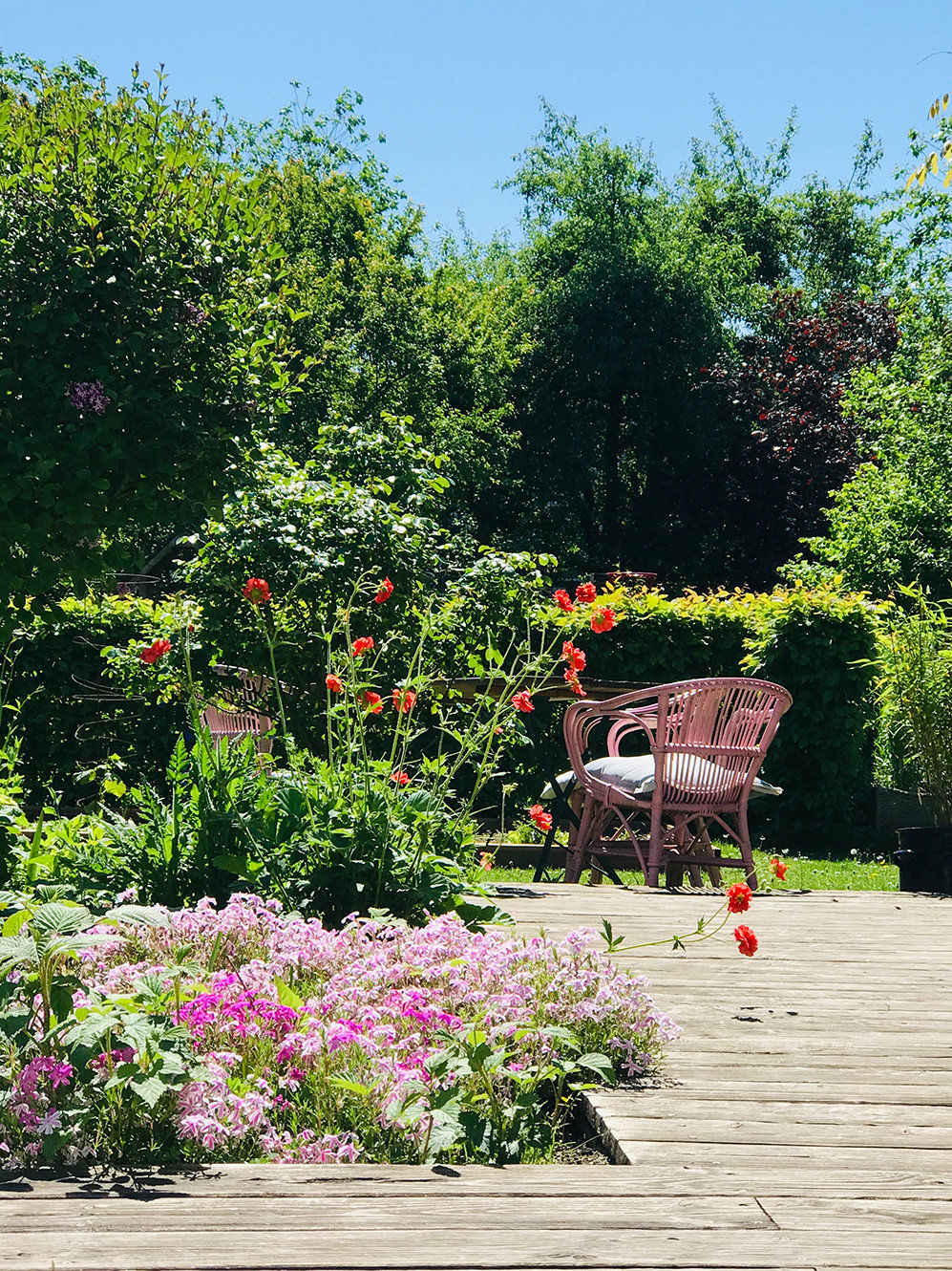 Mein Garten