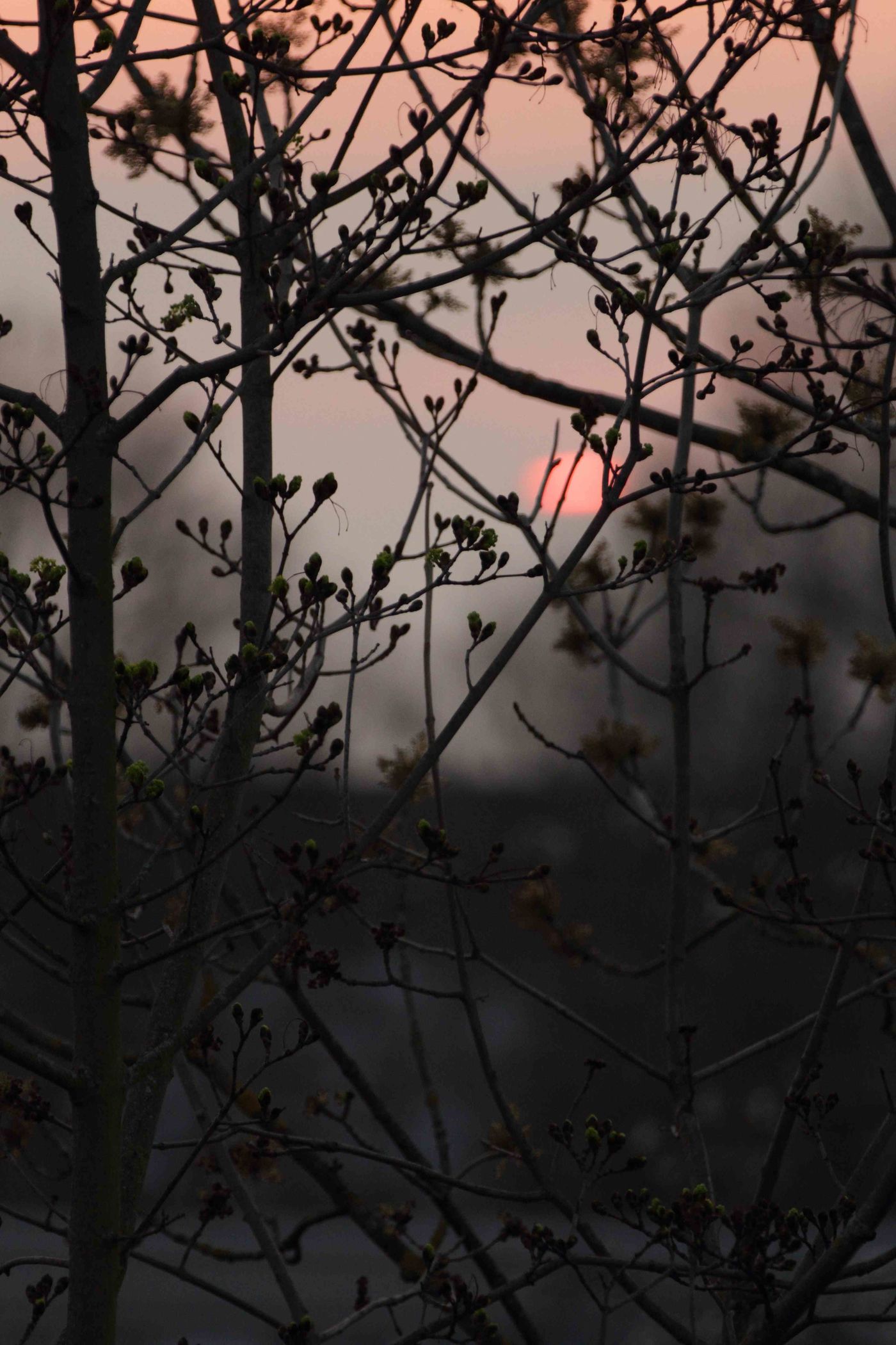 Fensterblick