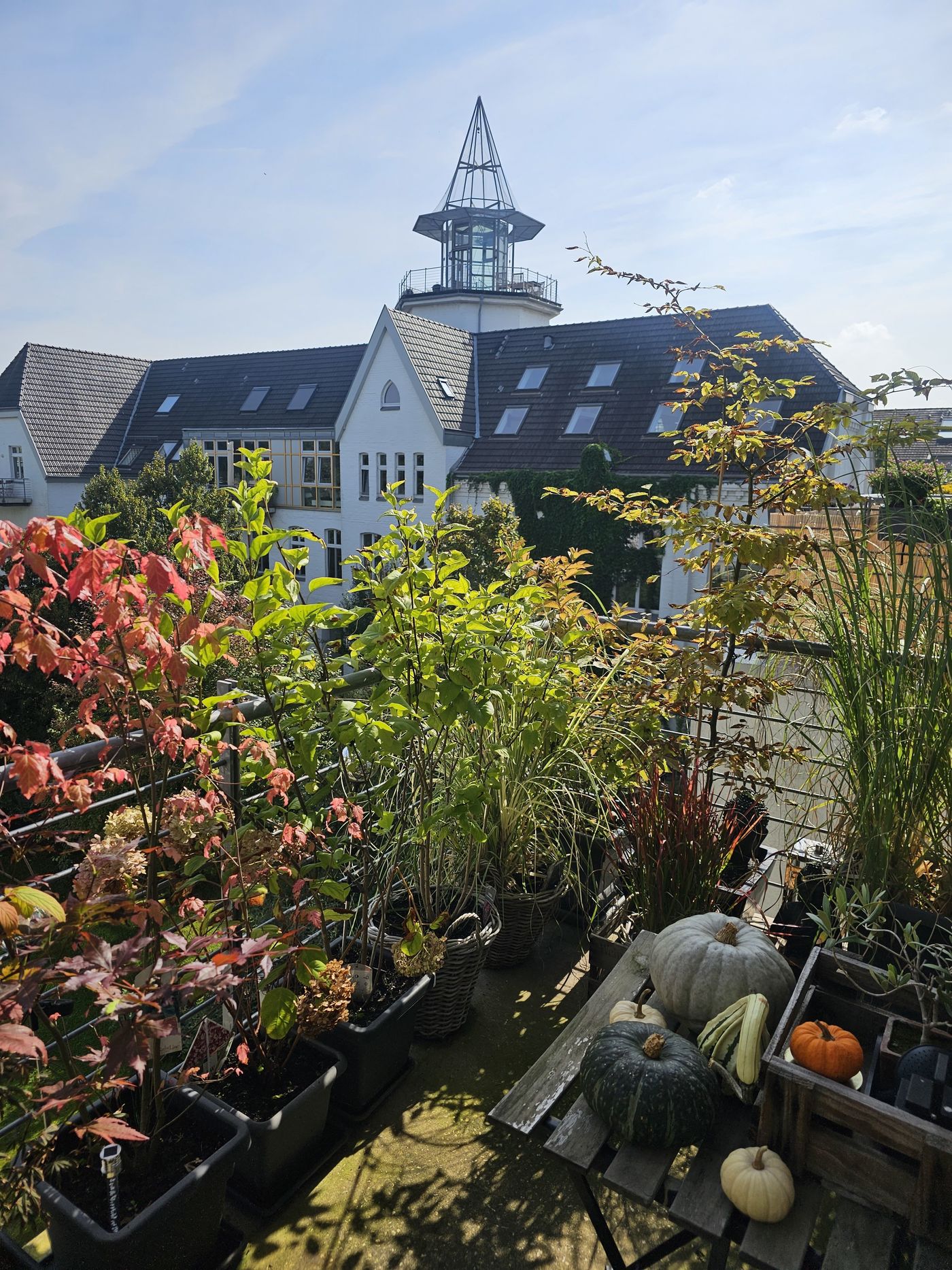 Blick vom Balkon