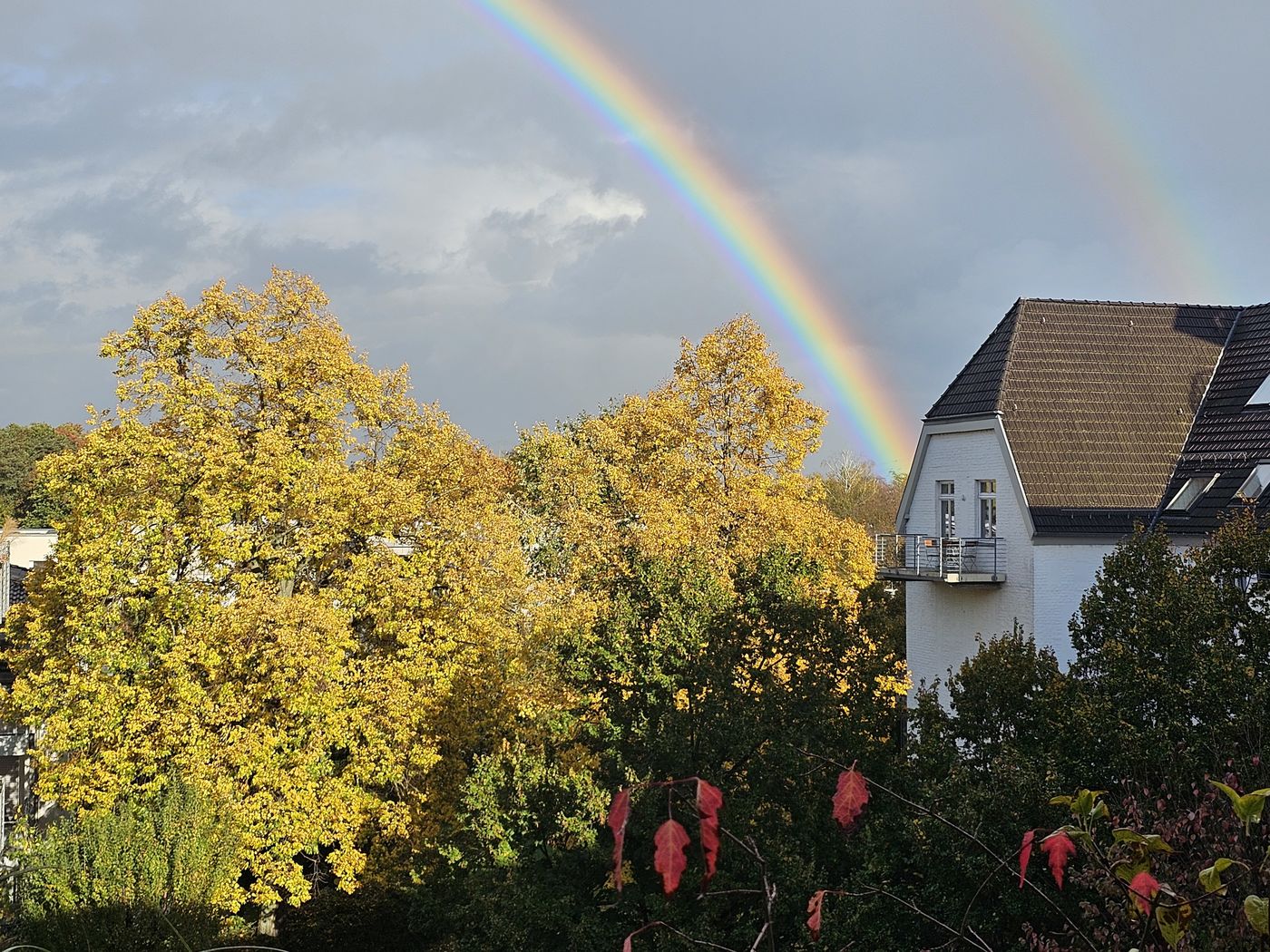 Regenbogen