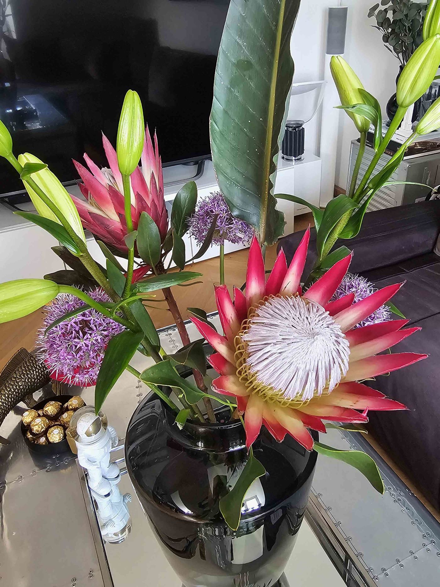 Protea