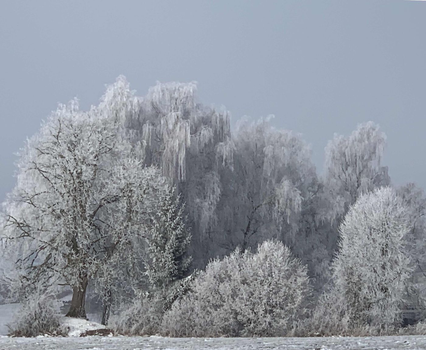 Wintermorgen