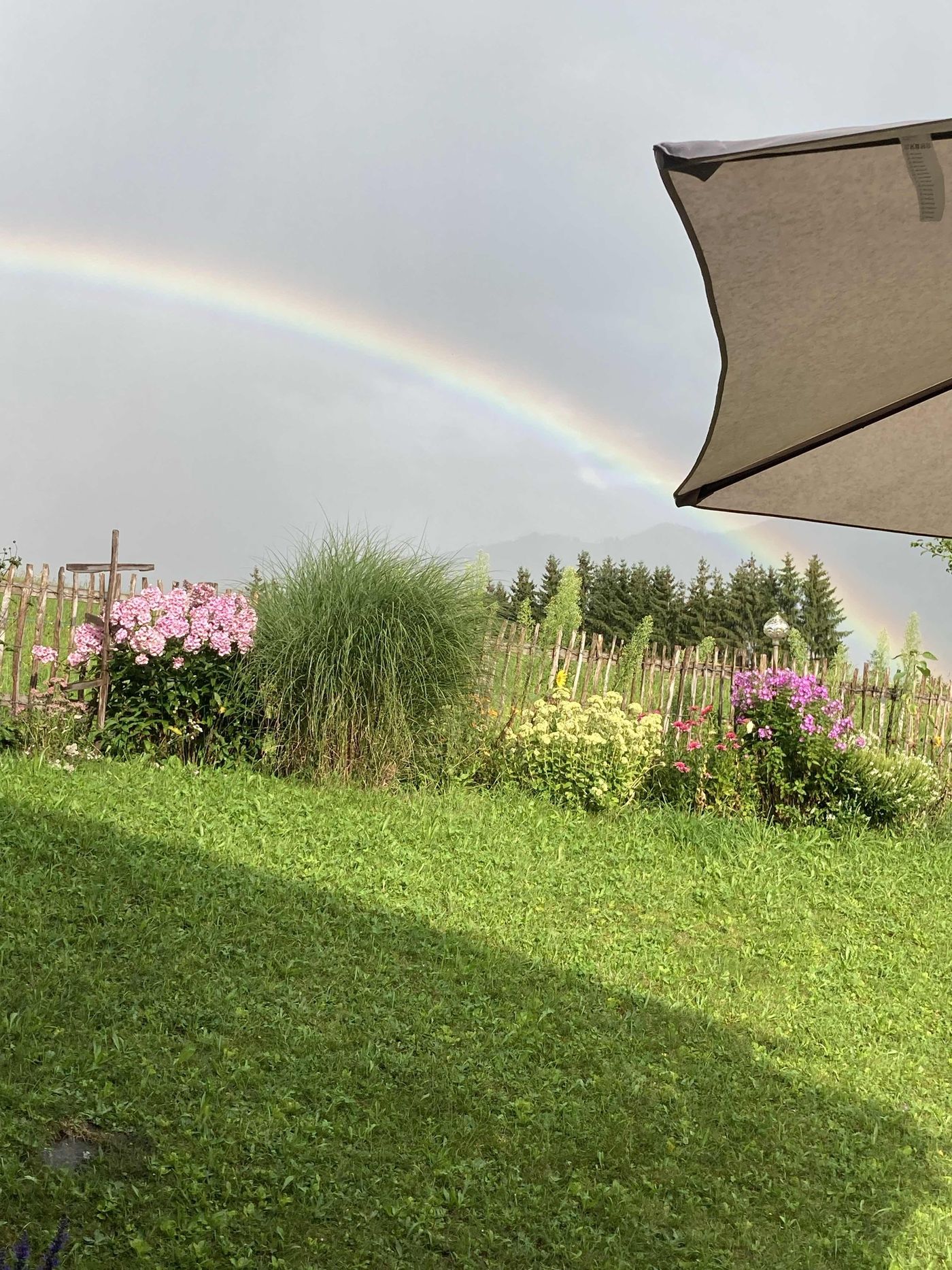 Regenbogen