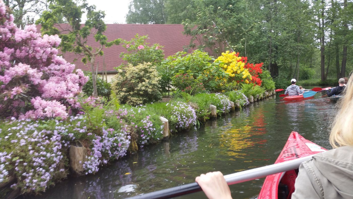 Spreewald