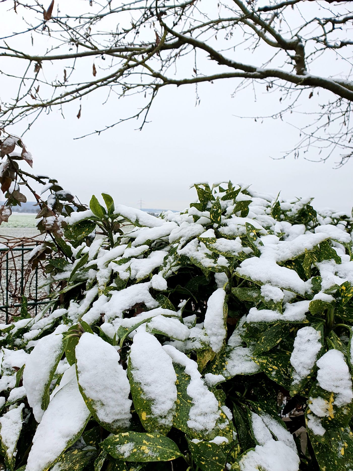 Wintergarten