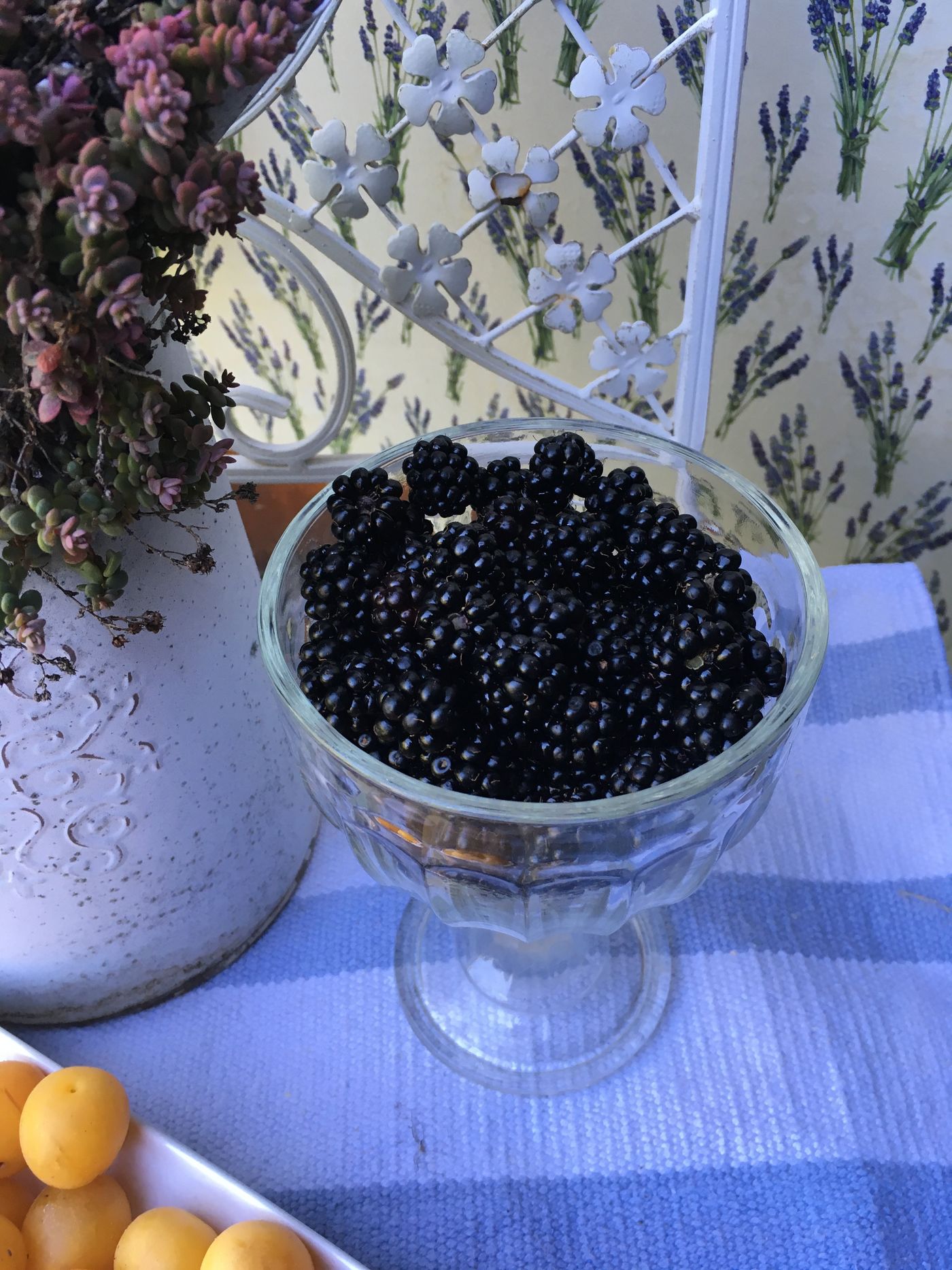 Brombeeren