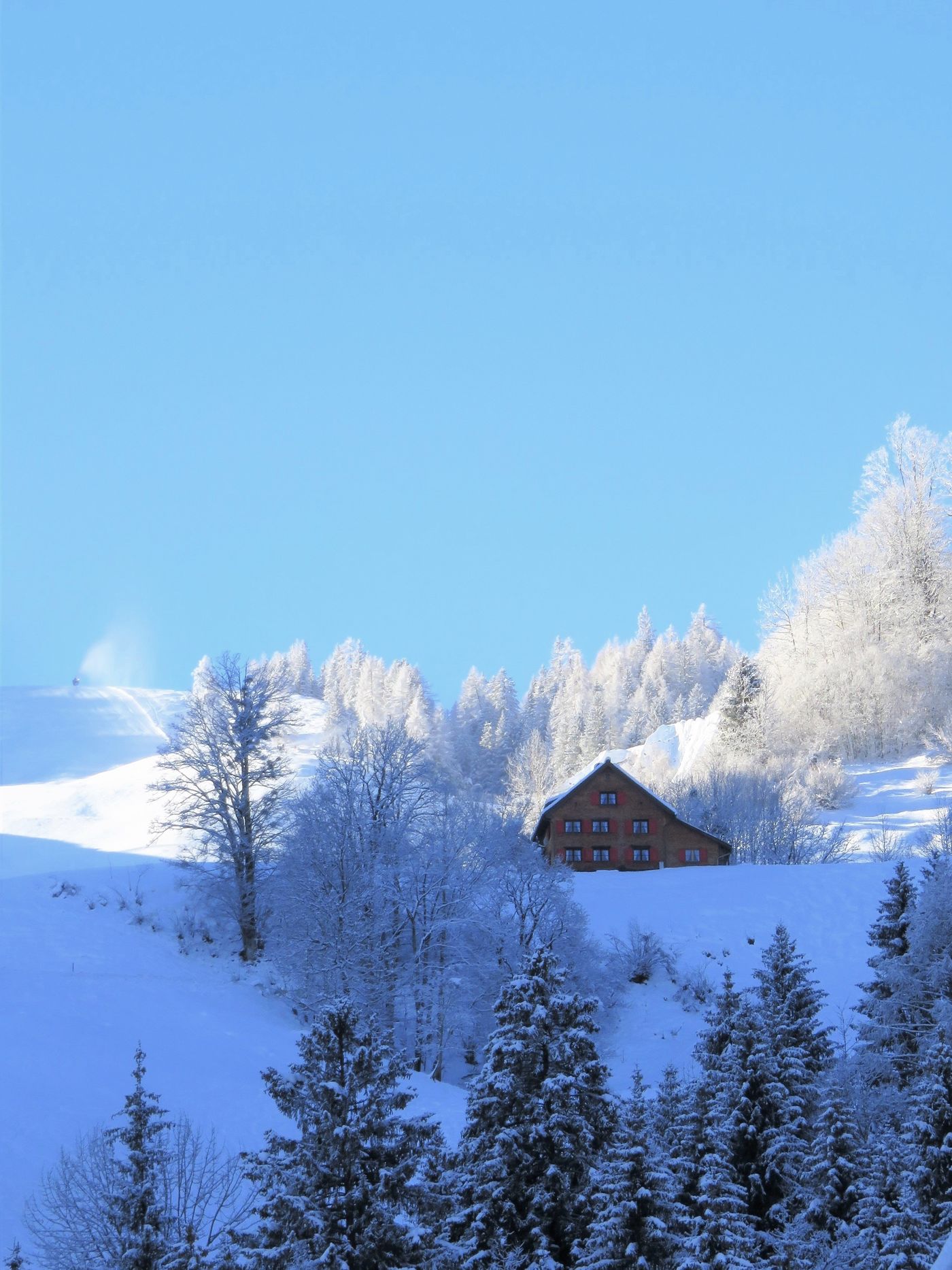 Winterlandschaft