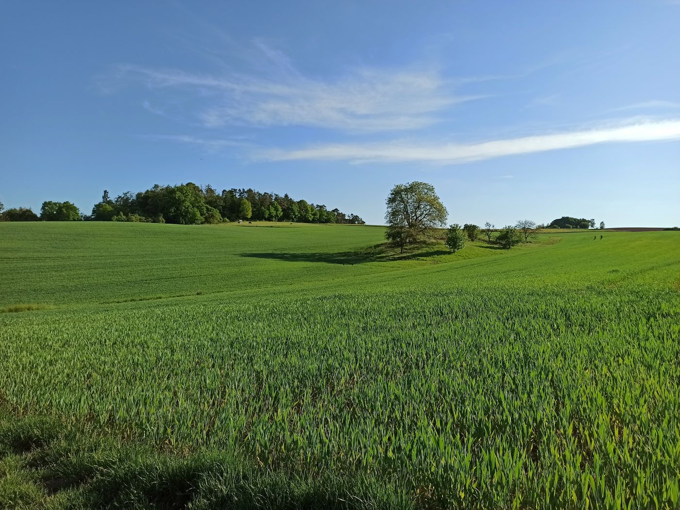 Auf dem Land