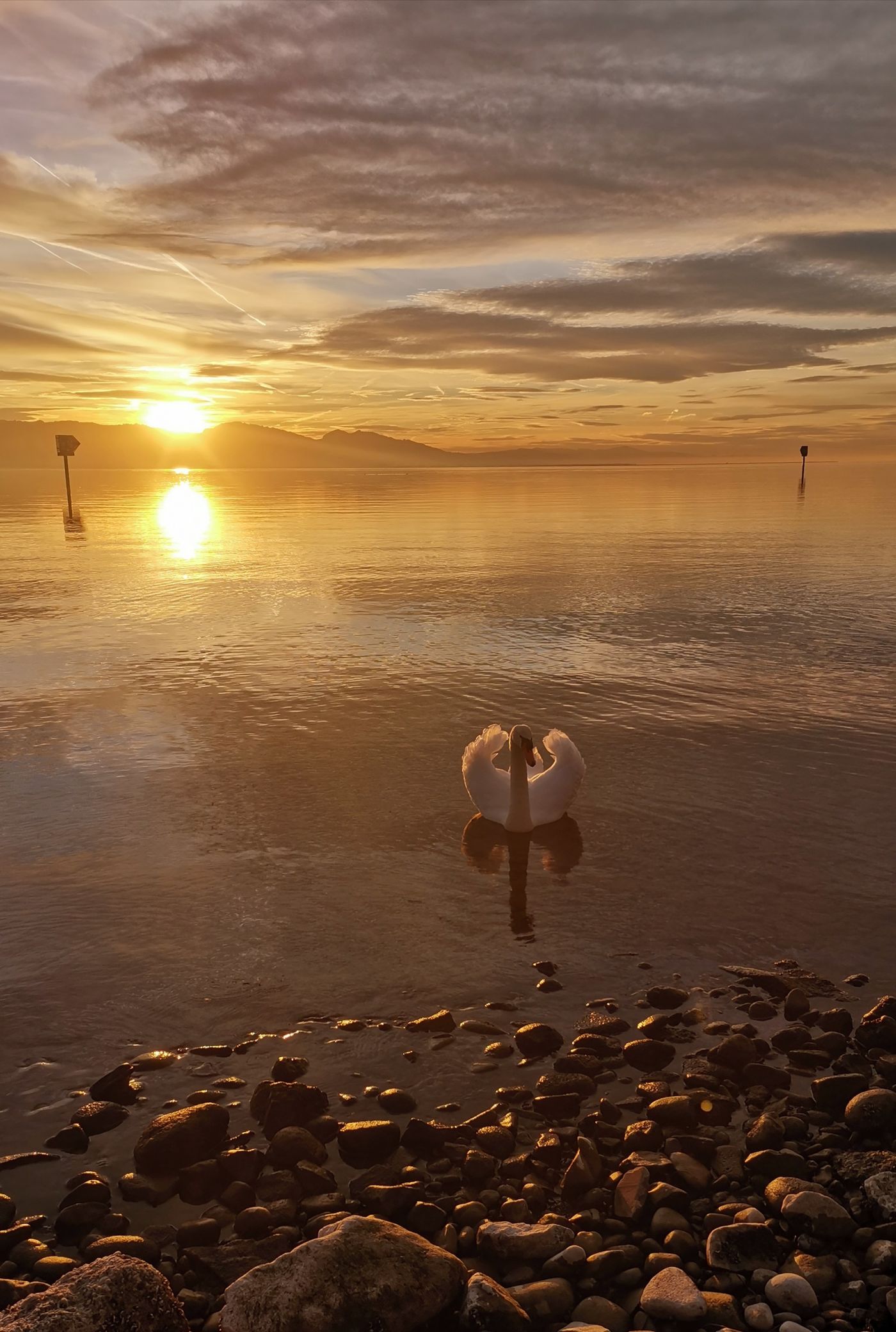 Bodensee