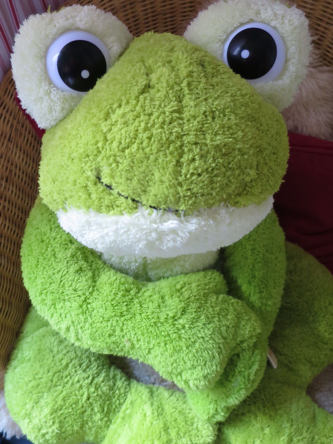 Frosch