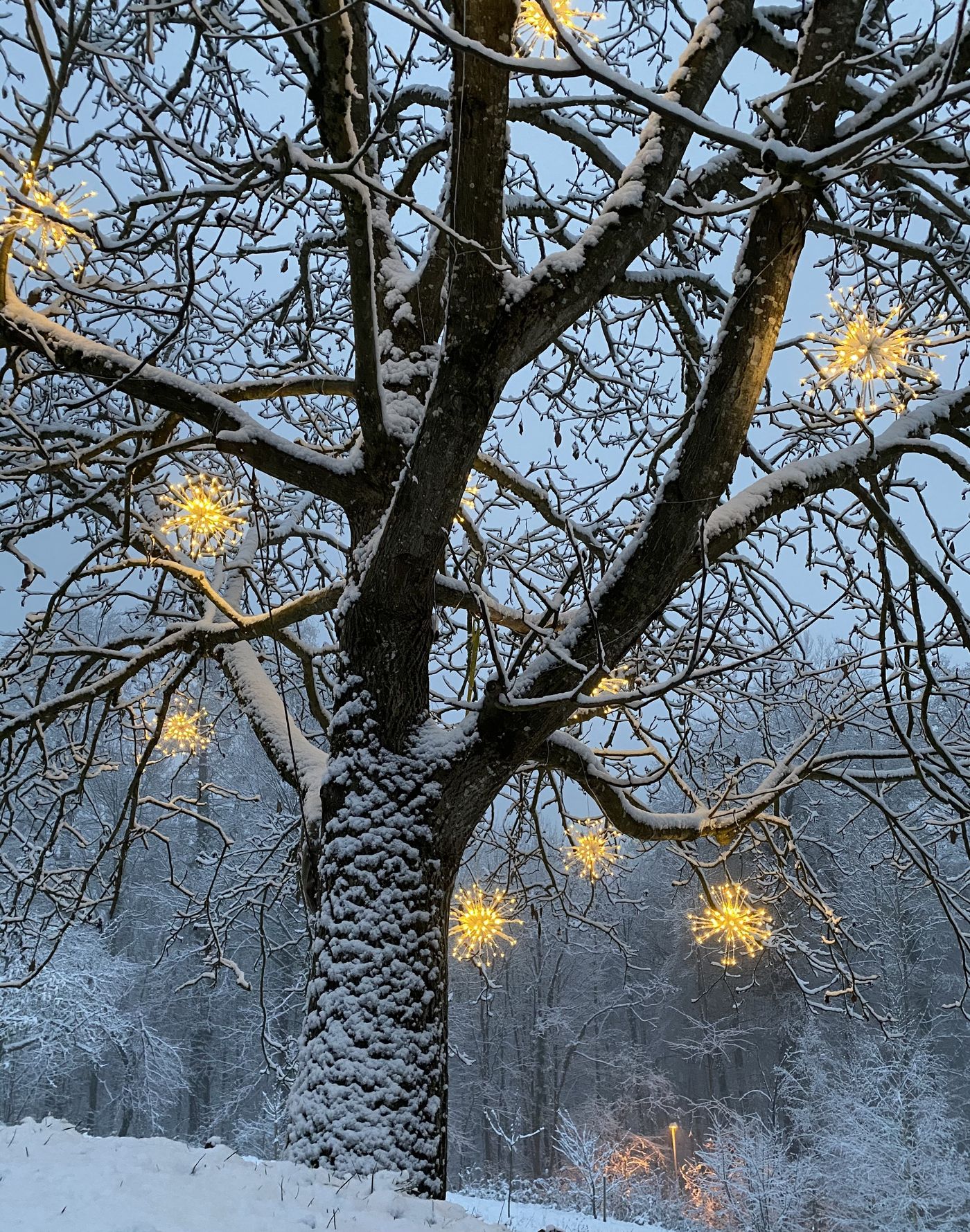 Die Schonsten Ideen Fur Deine Weihnachtsbaum Deko