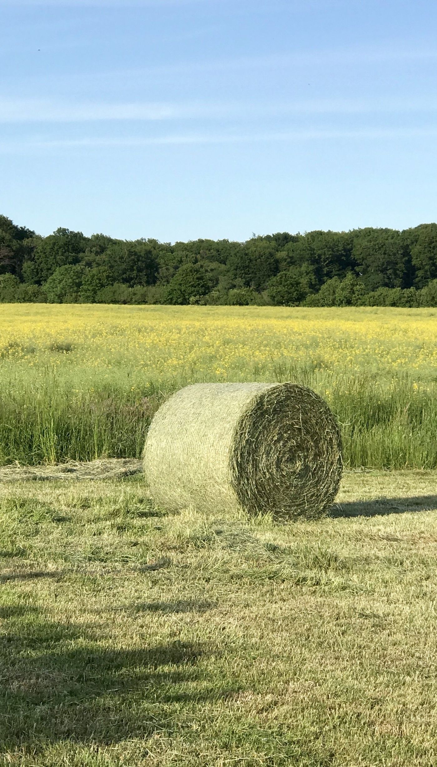 Auf dem Land