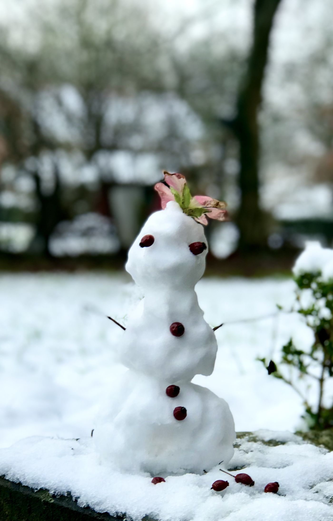 Schneemann