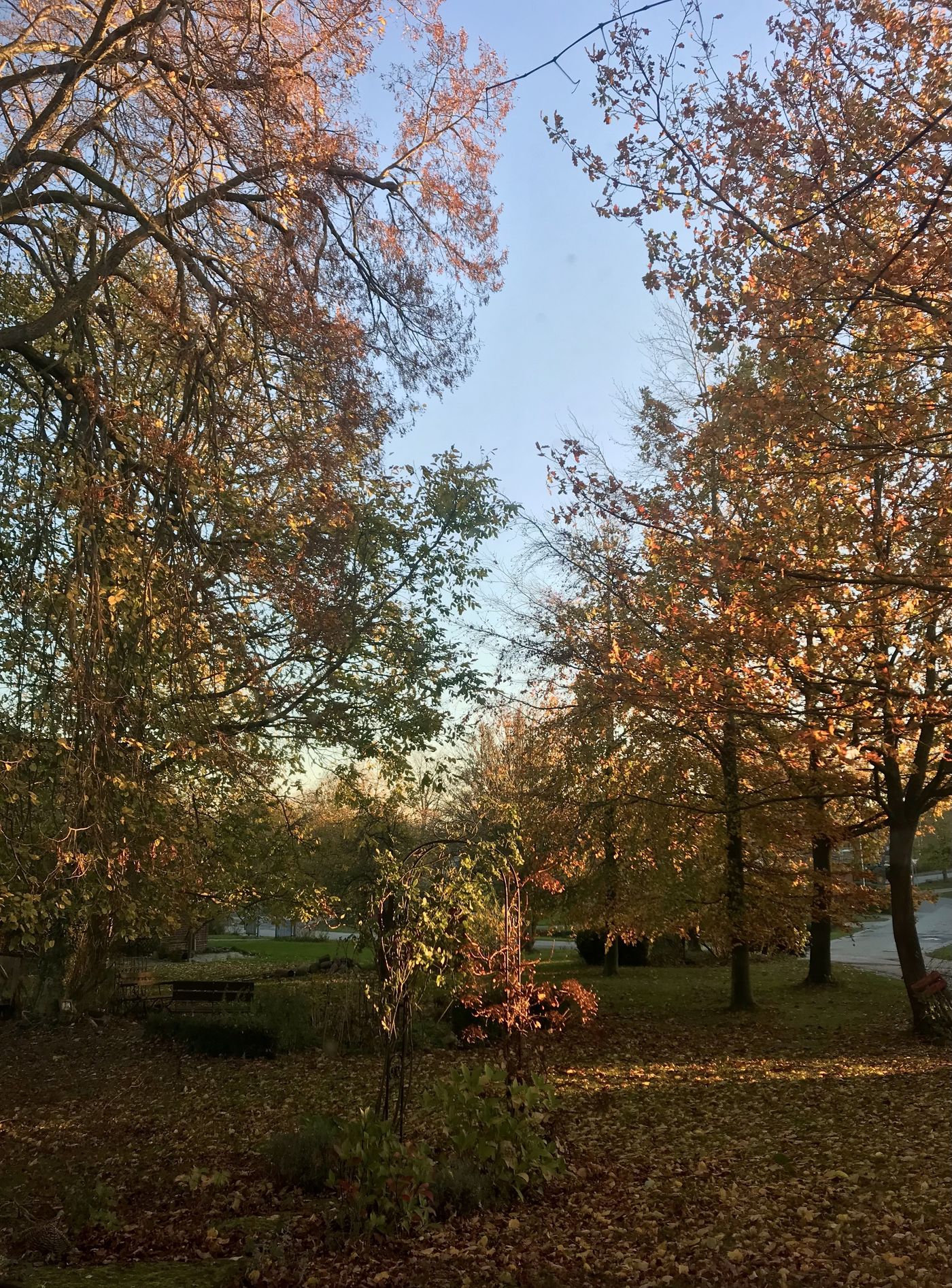 Fensterblick