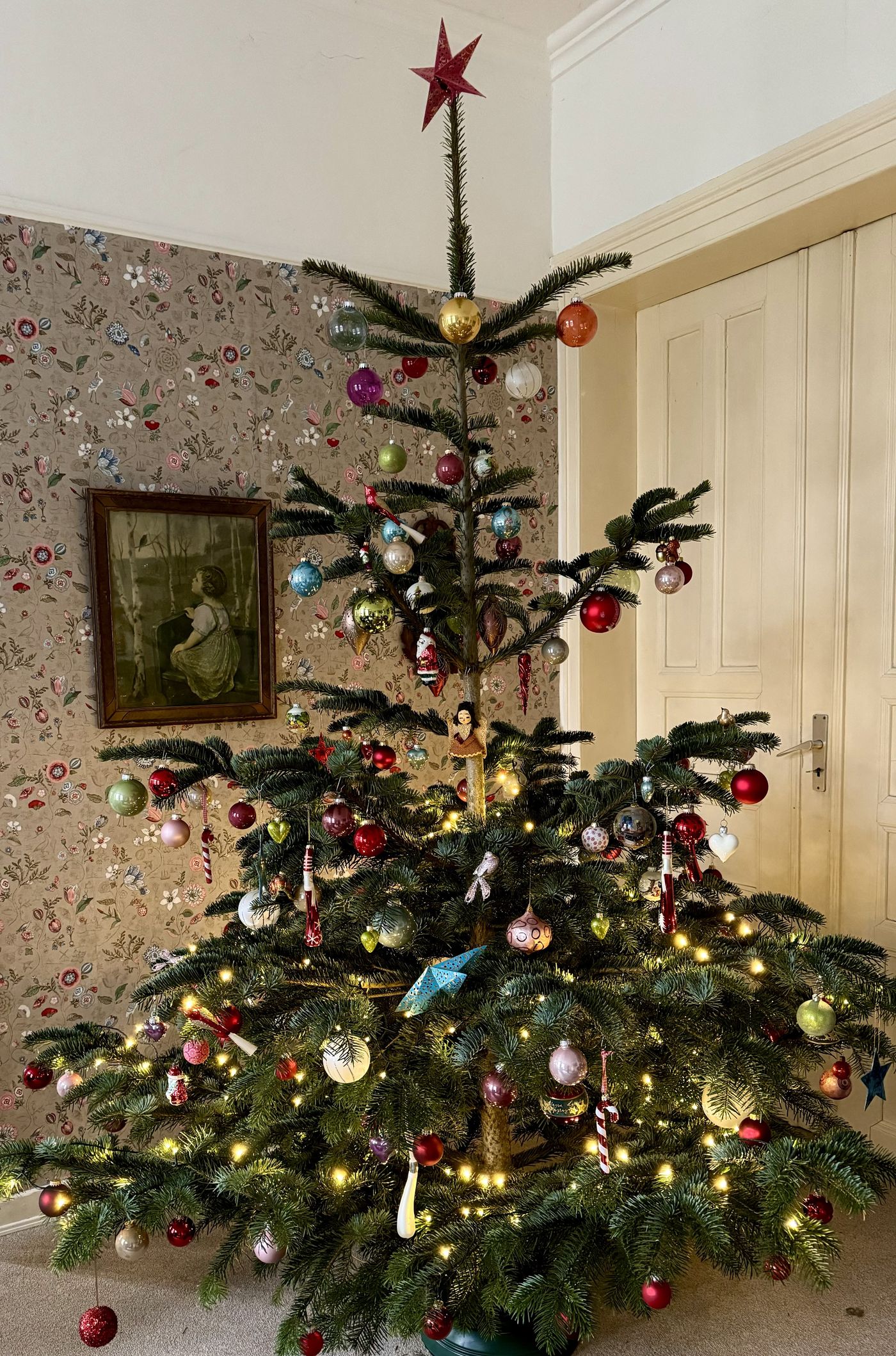 Weihnachtsbaum