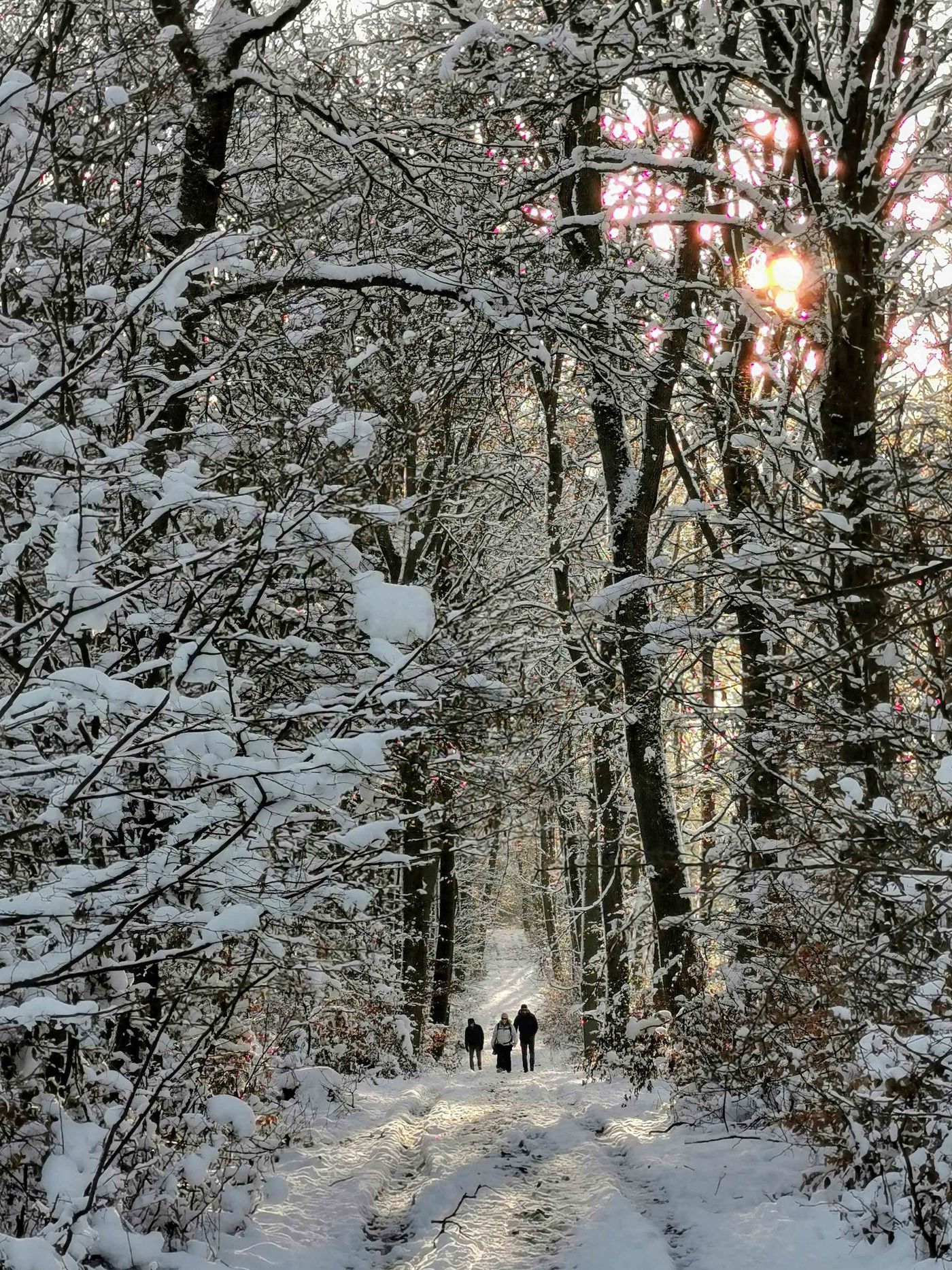 Winterwunderland