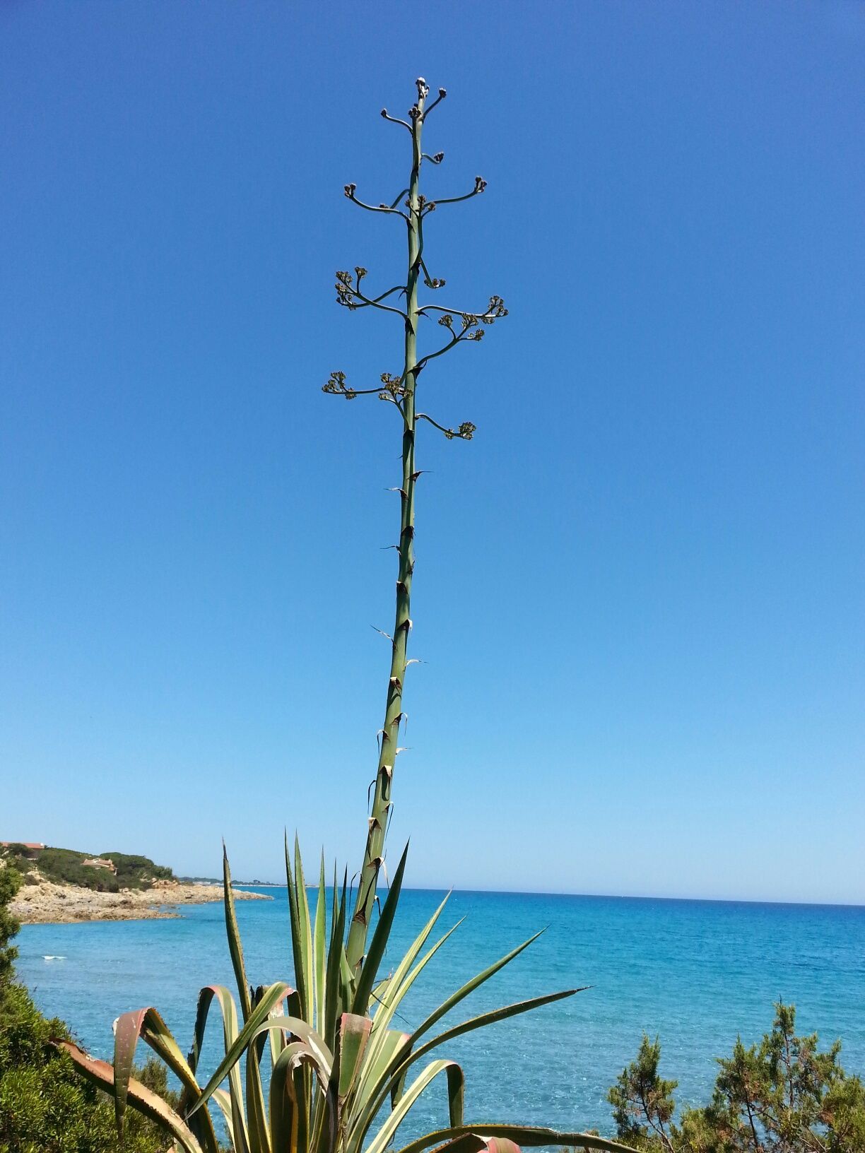 Sardinien