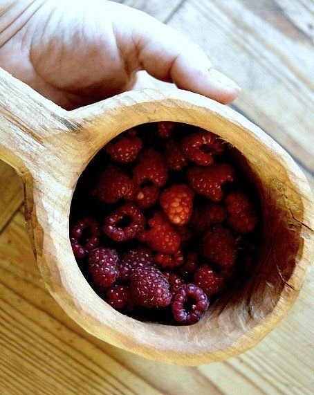 Himbeeren