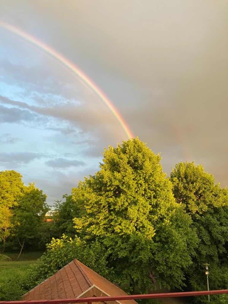 Regenbogen