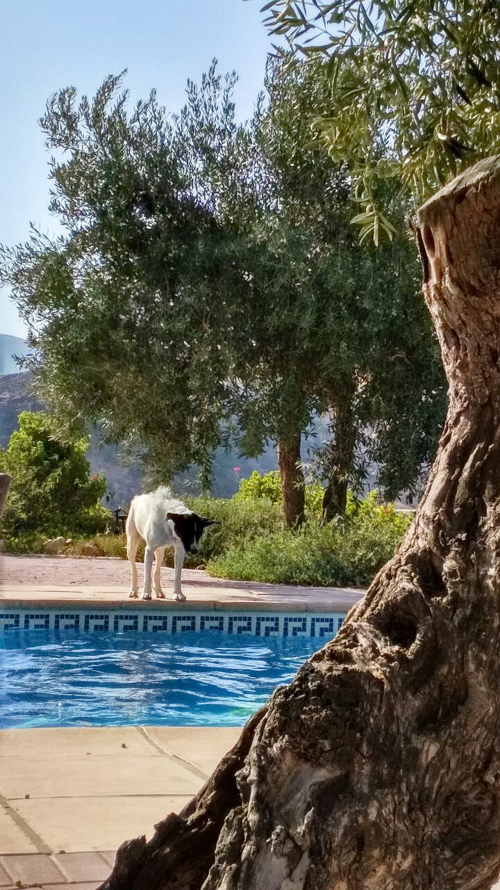 Andalusien