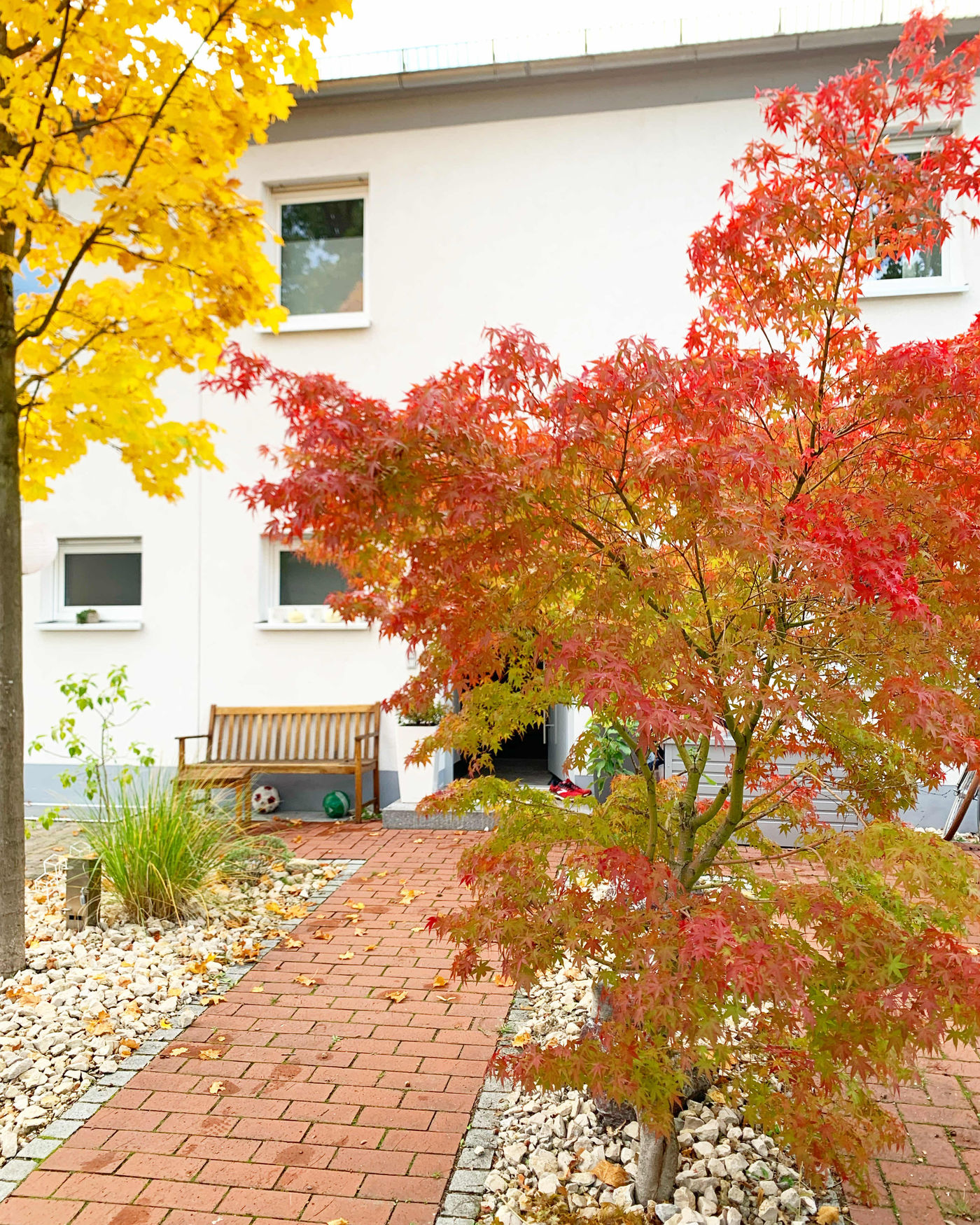 Herbstgarten