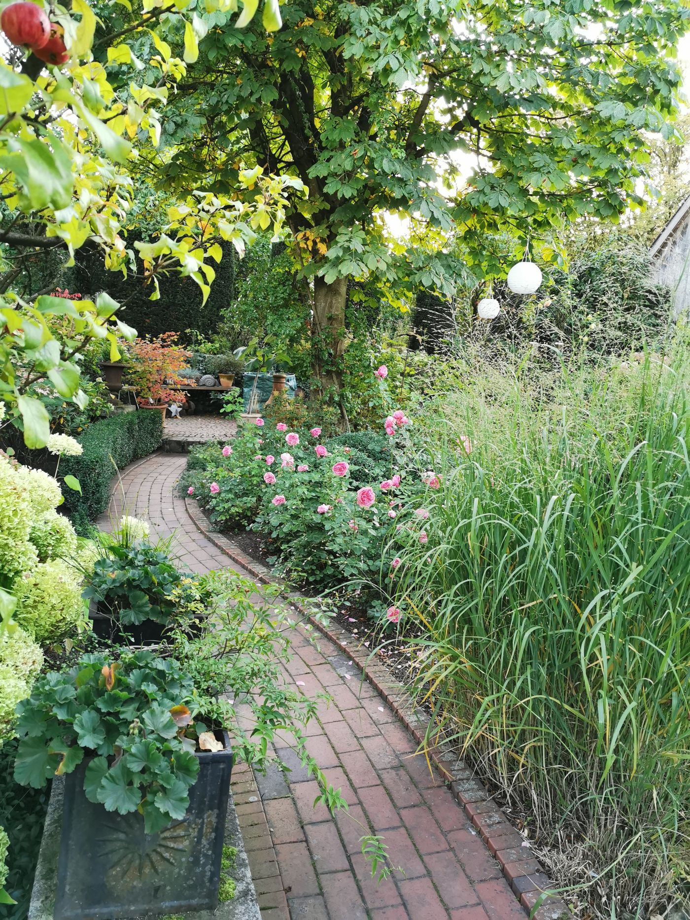 Herbstgarten