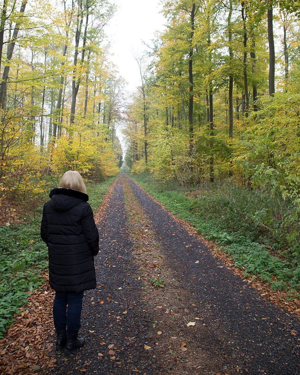 Herbstwald