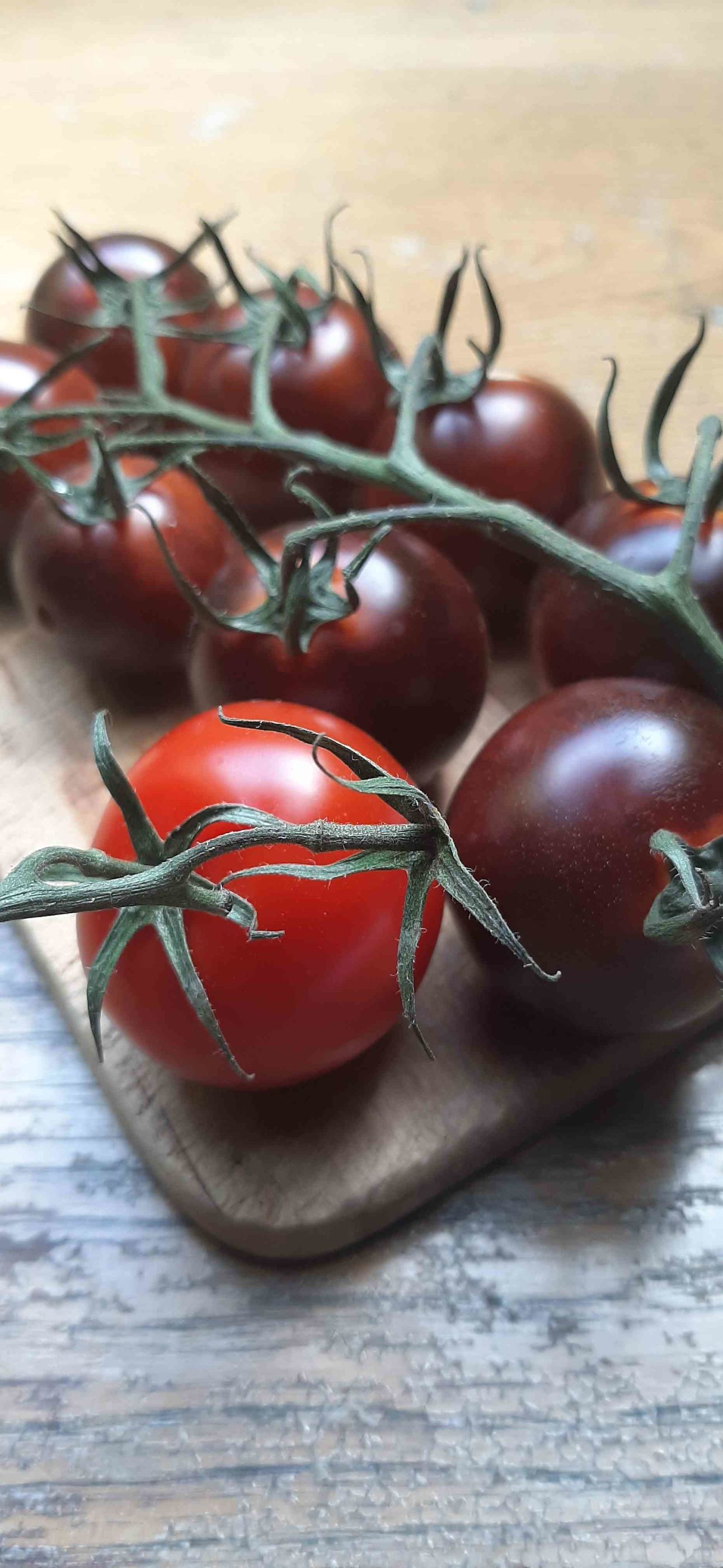 Tomaten