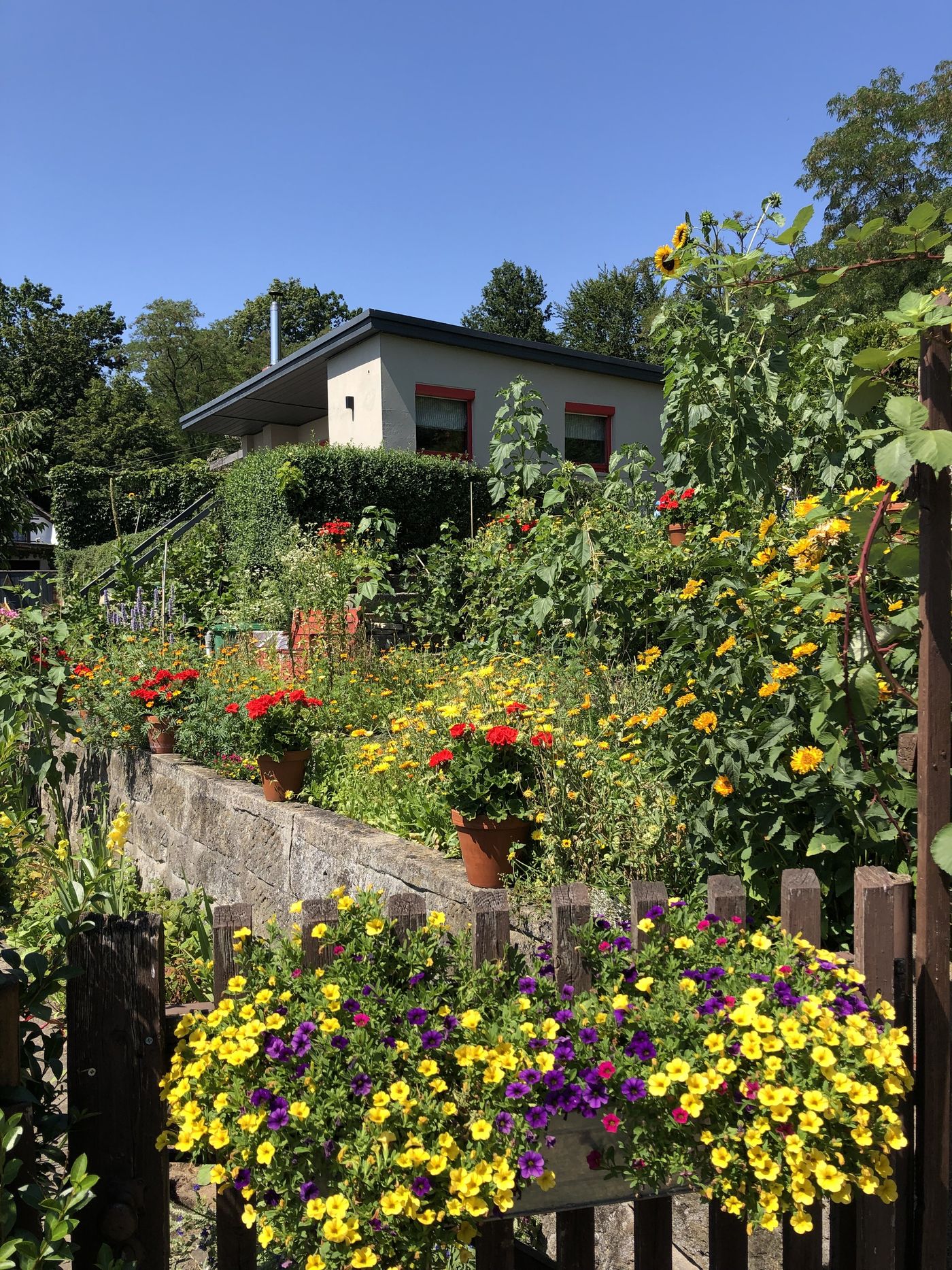 Schrebergarten Kleingarten Ideen Zum Anlegen Gestalten Seite 7