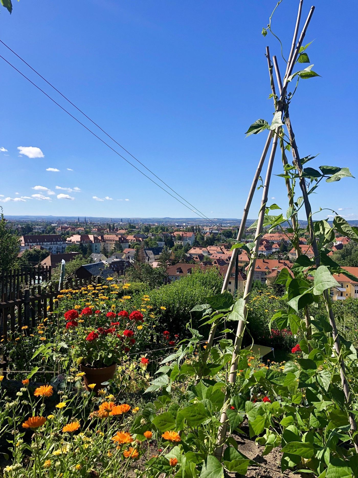 Kleiner Garten