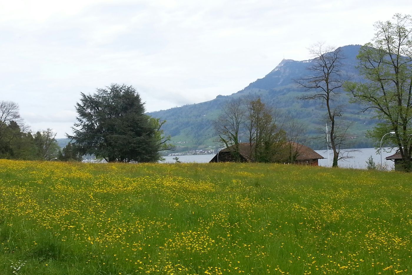 Vierwaldstättersee