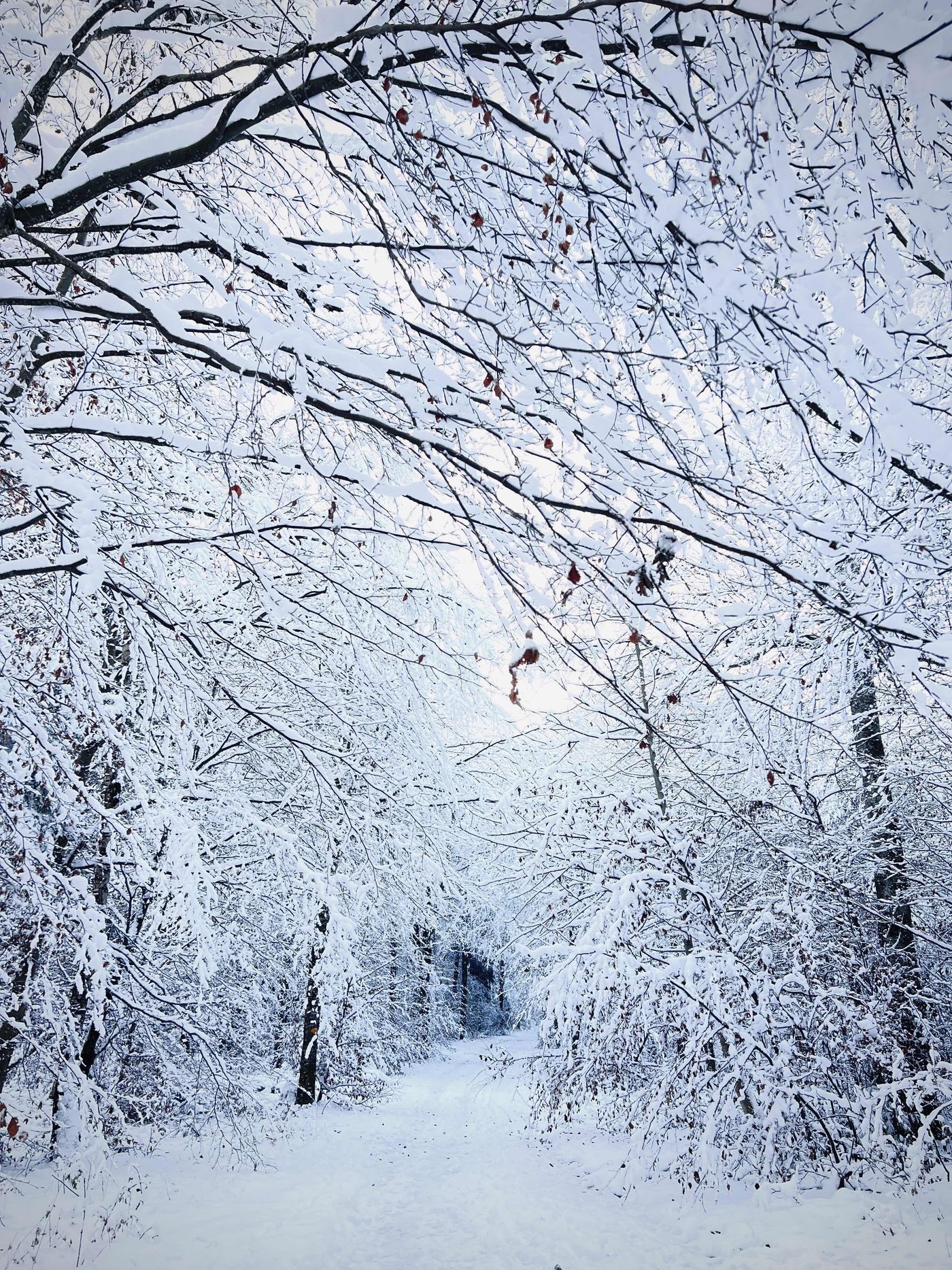 Winterlandschaft