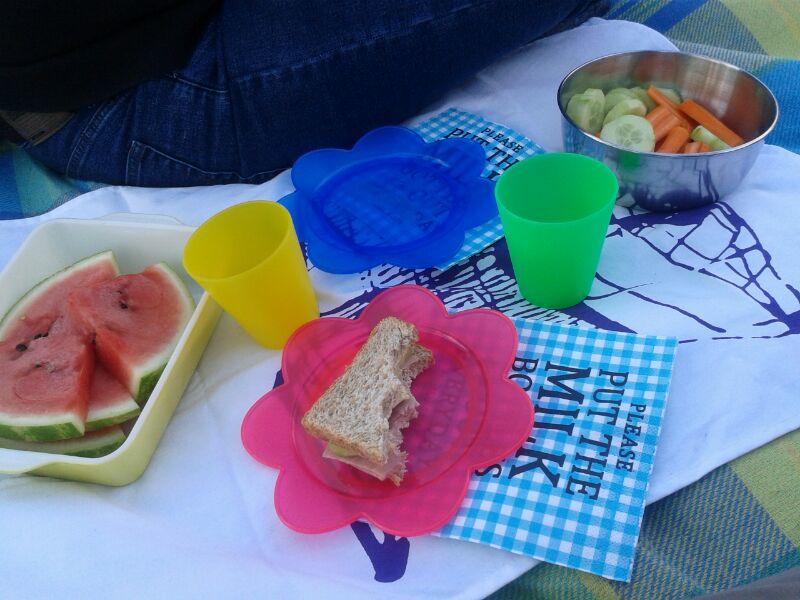 Picknick