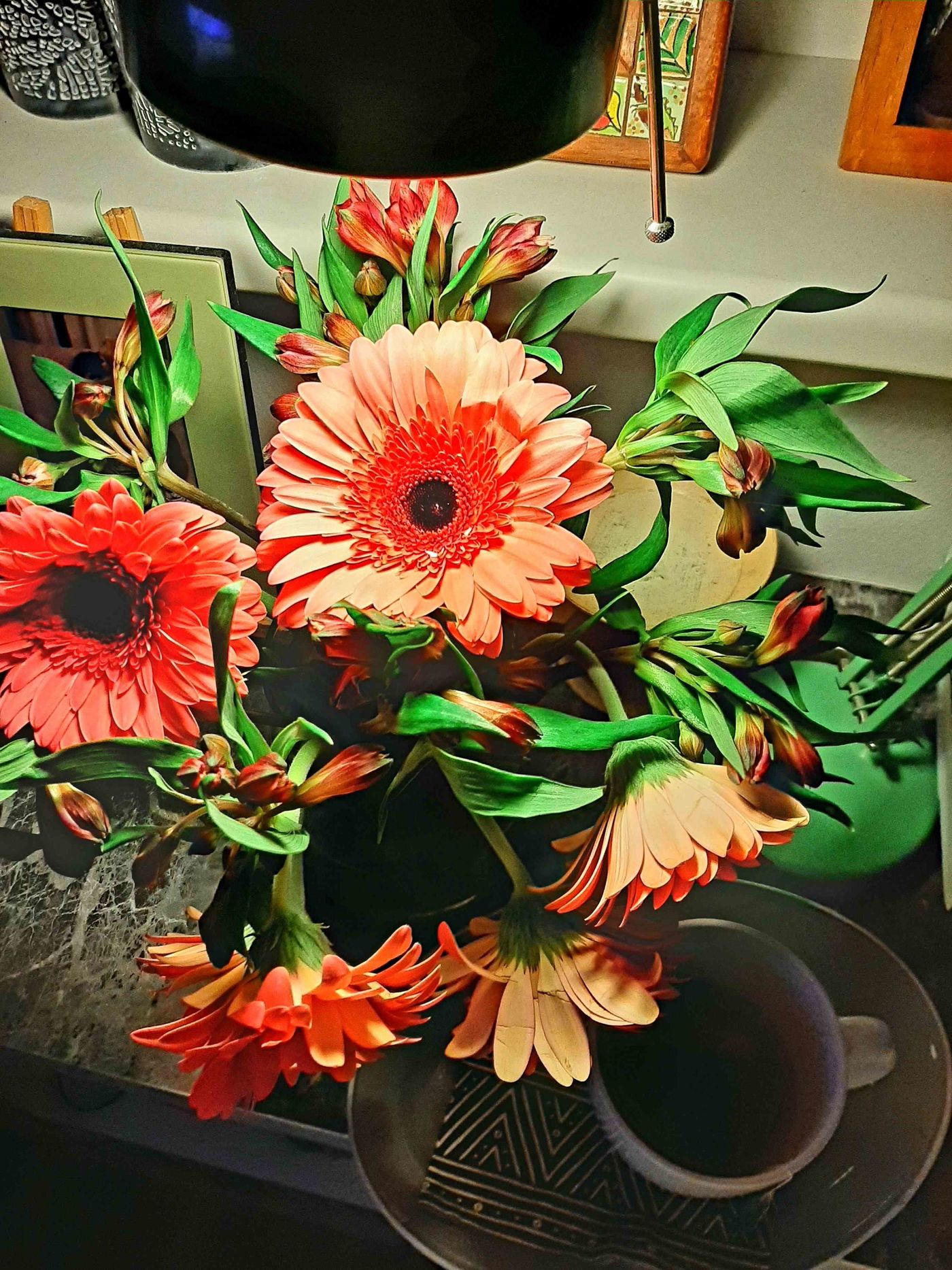 Gerbera