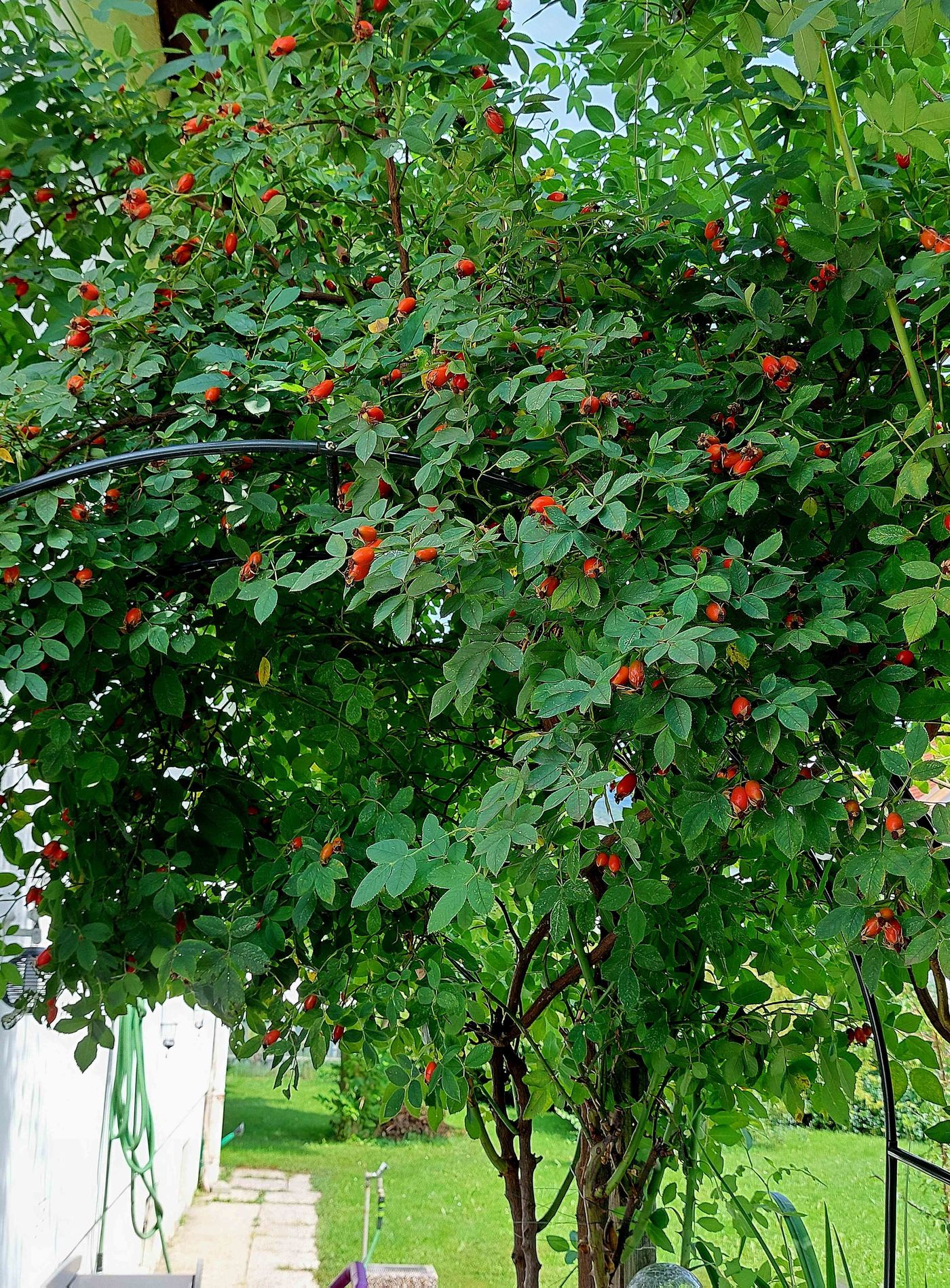 Spätsommer