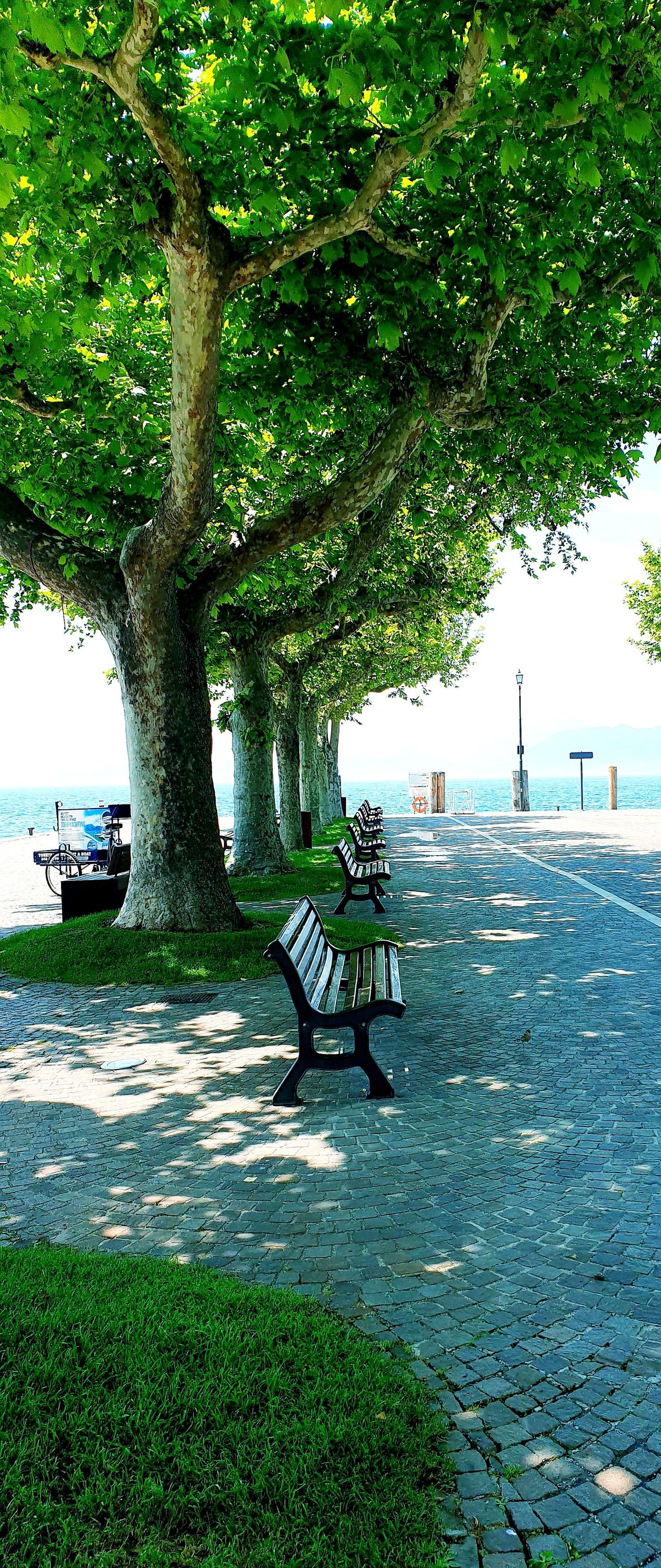 Gardasee