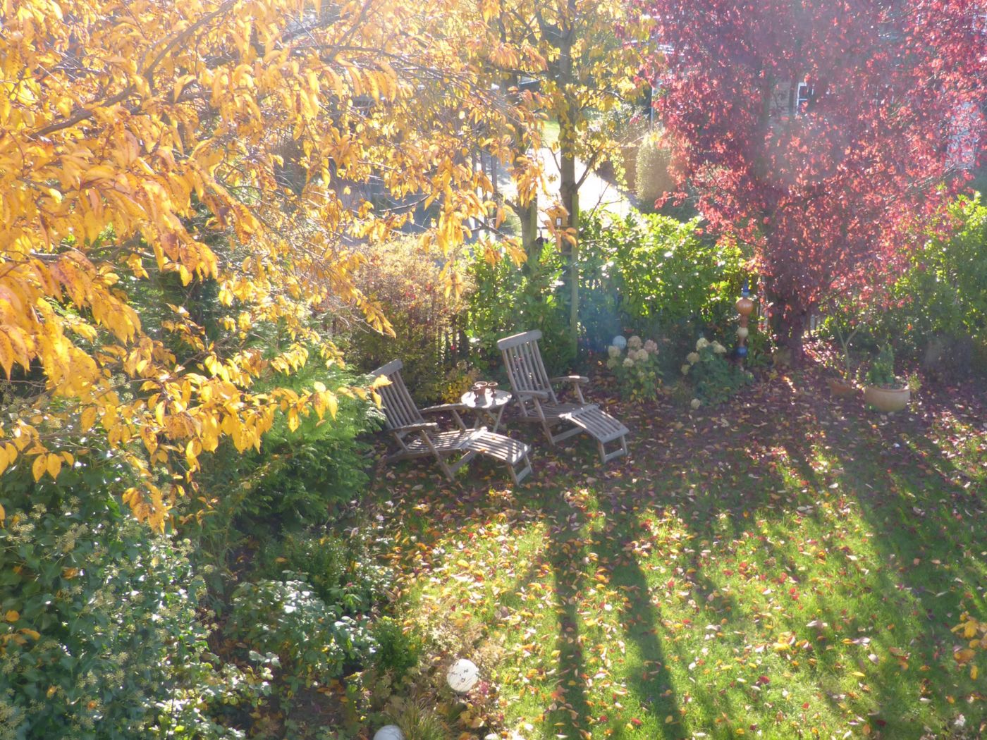 Herbstgarten