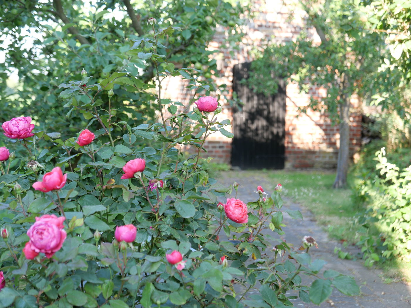 Obstbaum