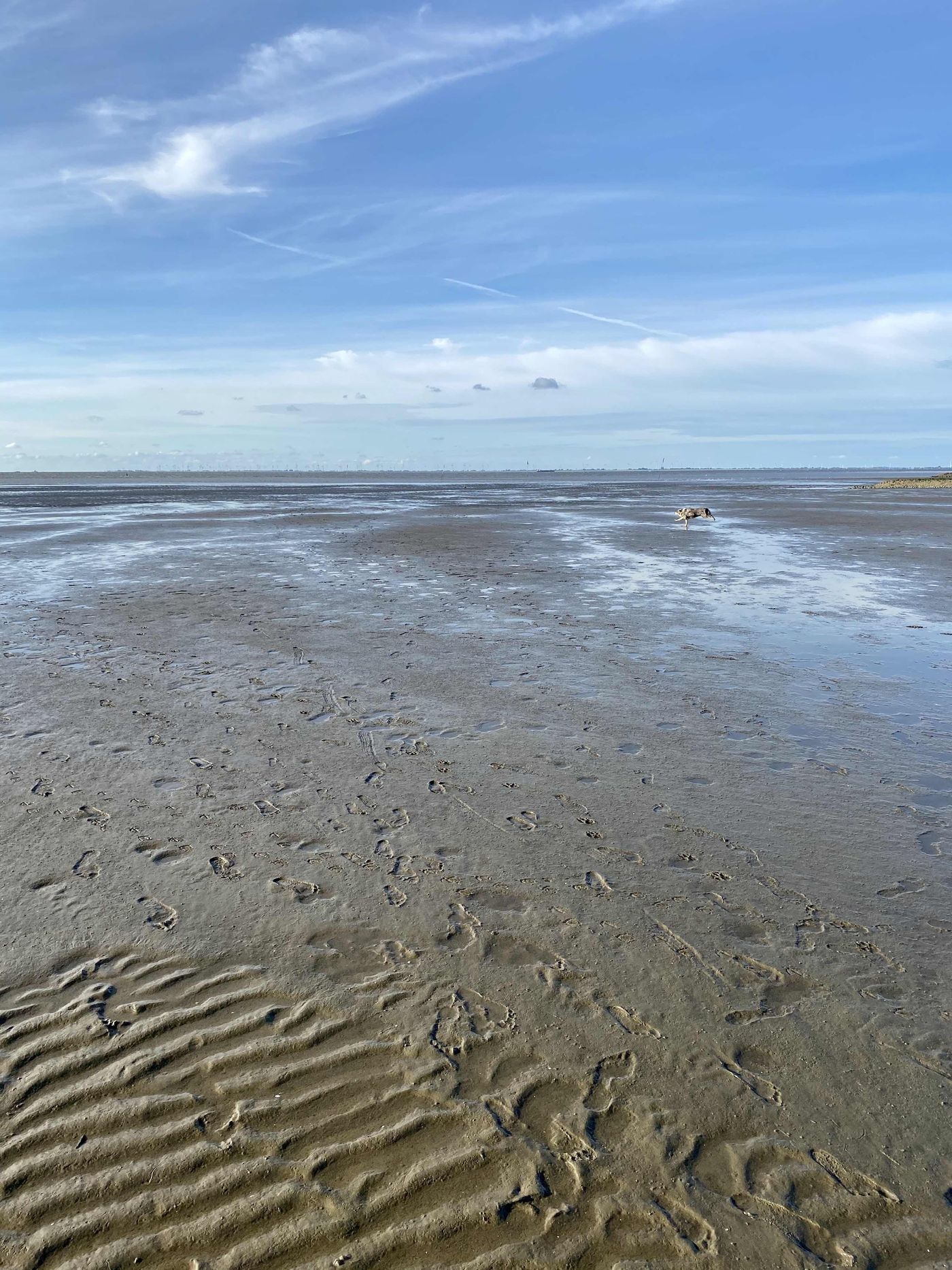 Wattenmeer