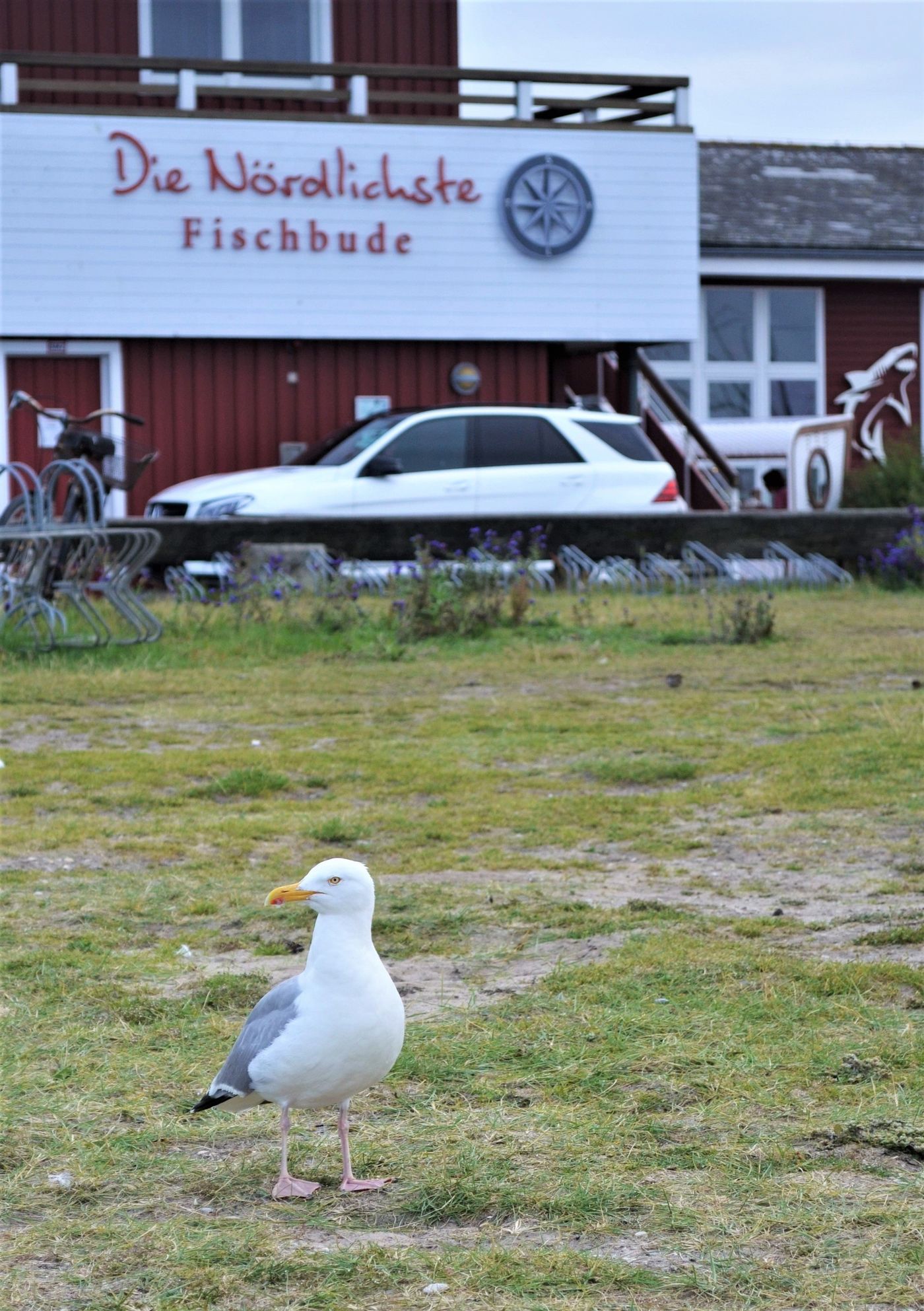 Sylt