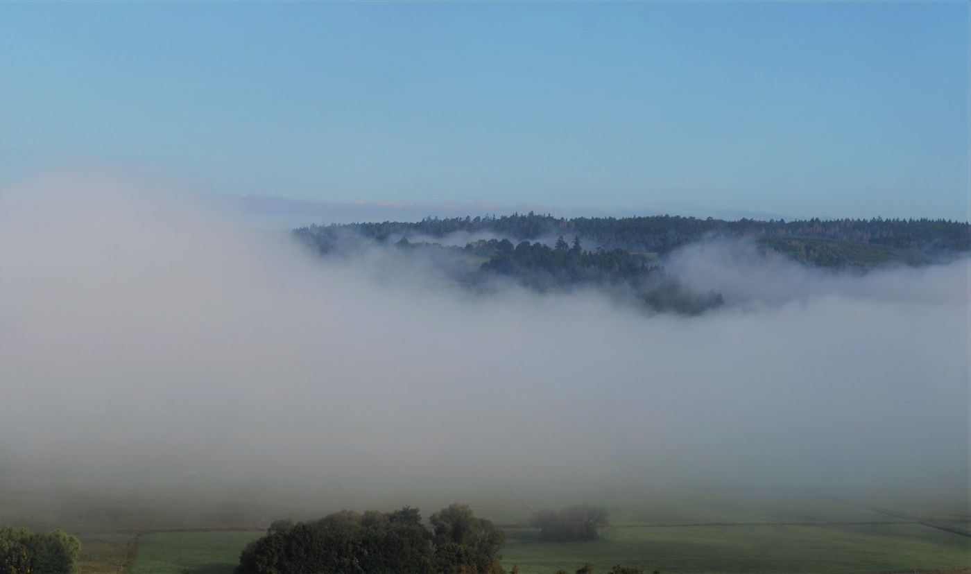 Morgennebel