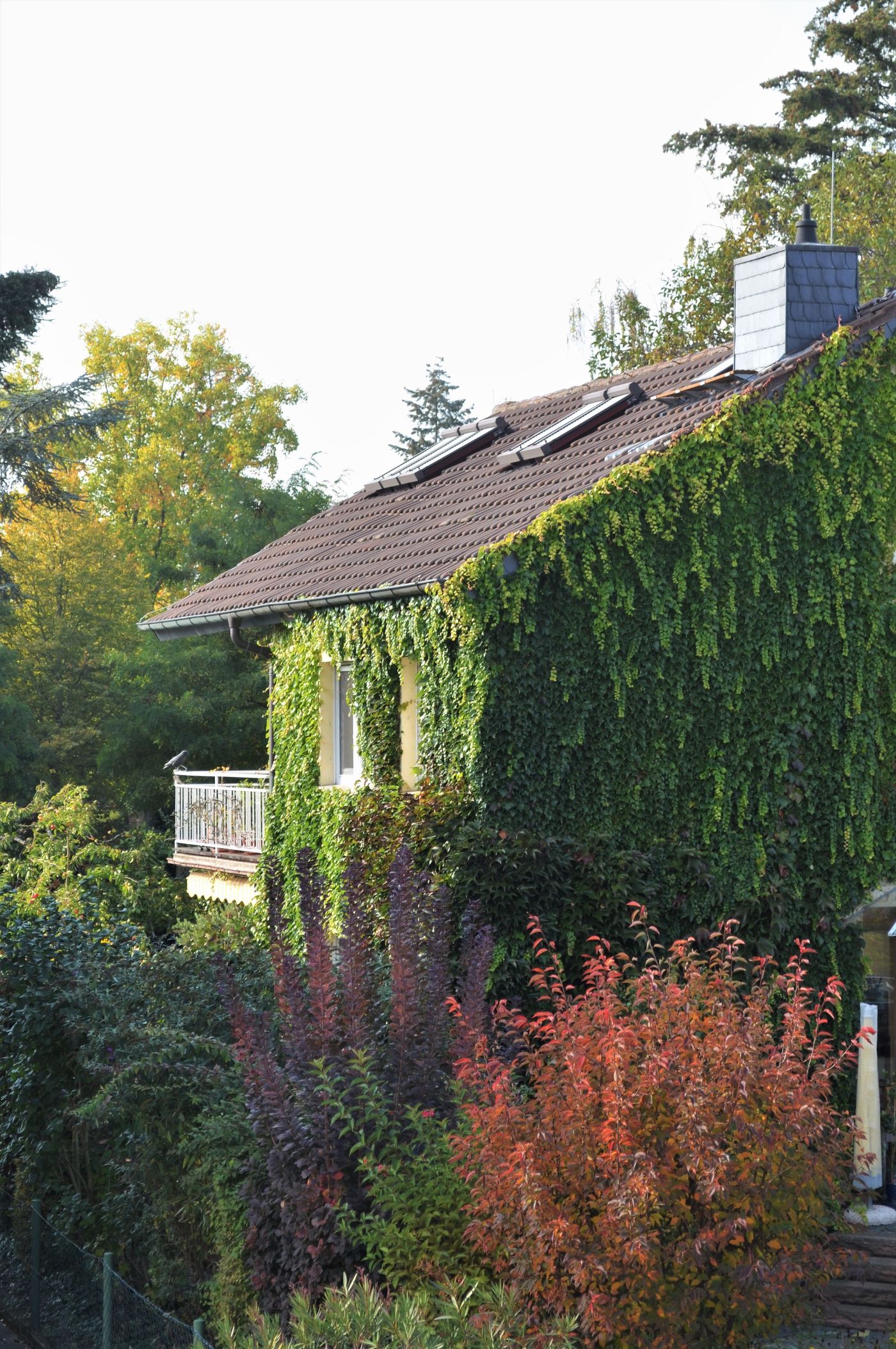 Herbstgarten