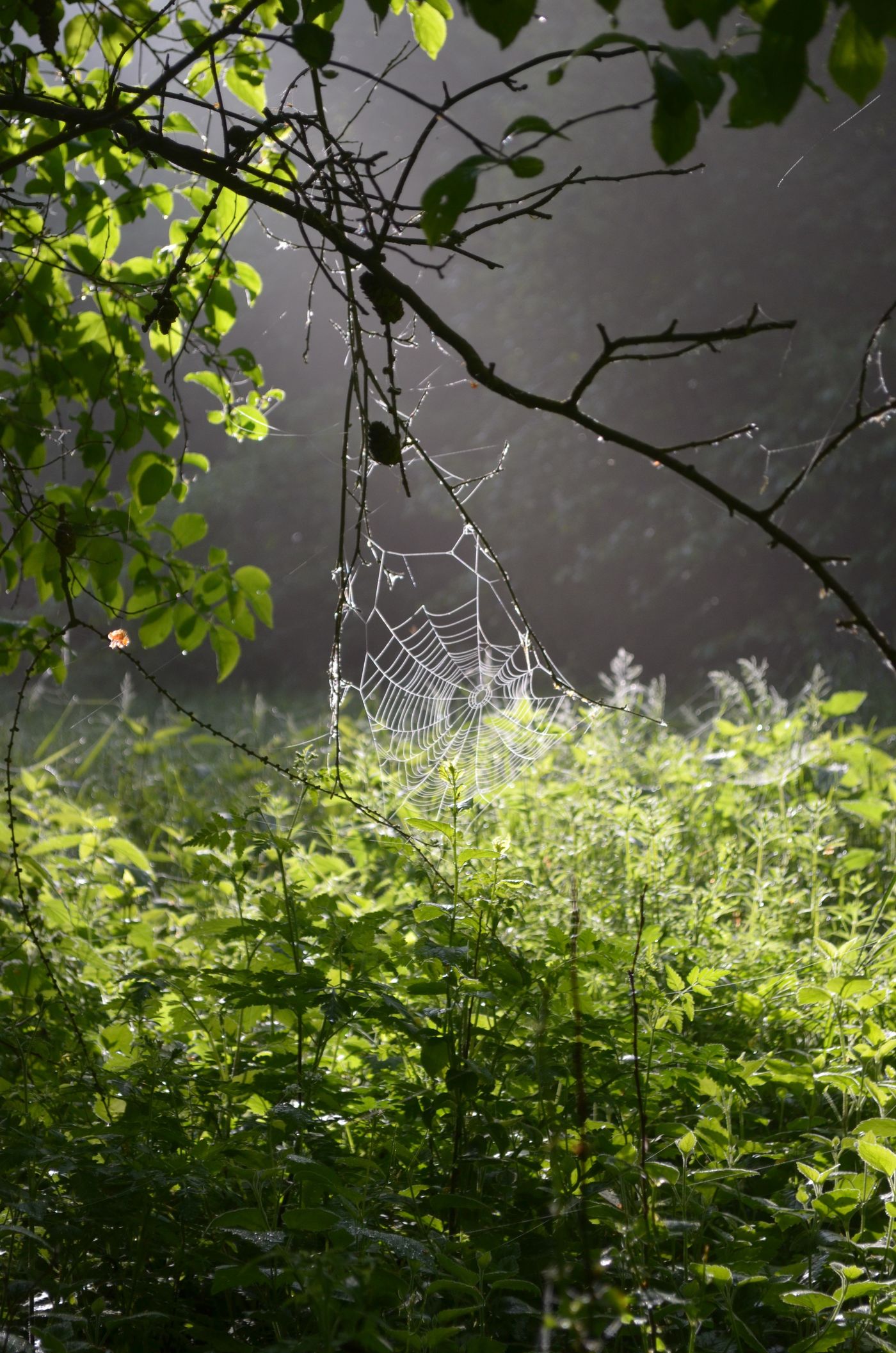 Naturfotografie