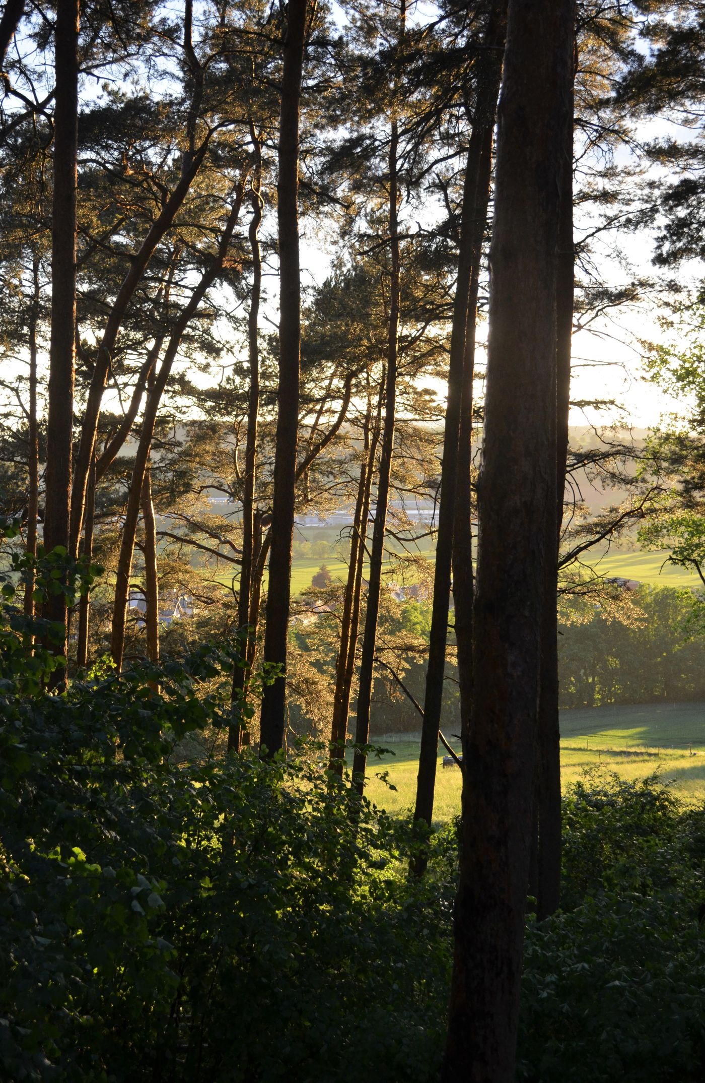 Fensterblick