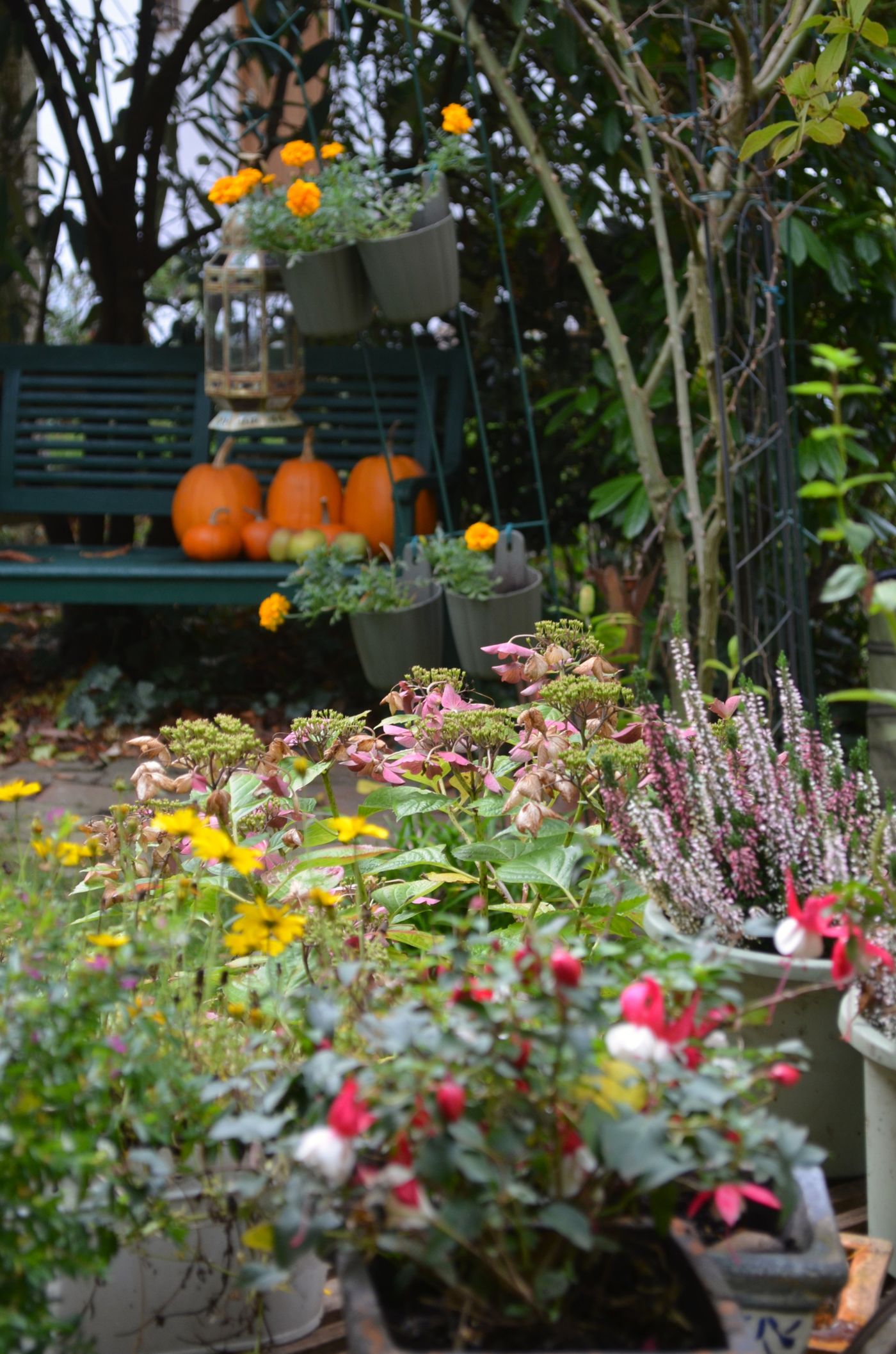 Herbstgarten