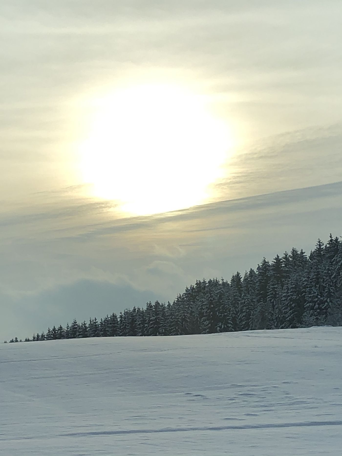 Winterlandschaft