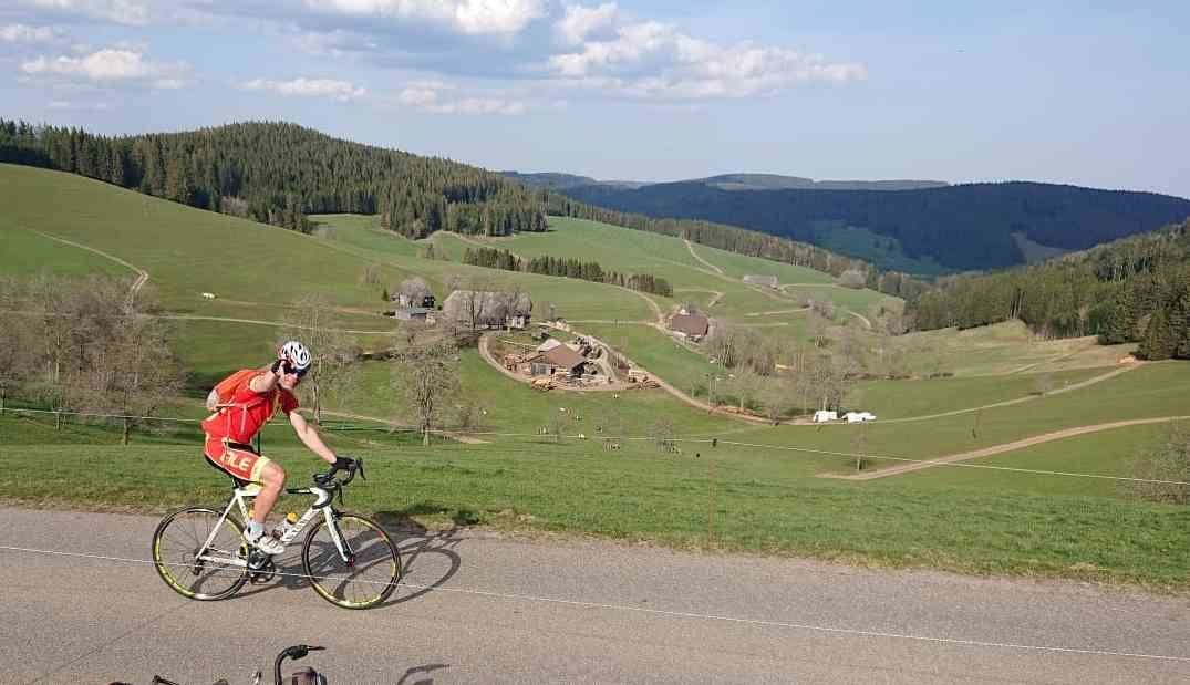 Schwarzwald pur