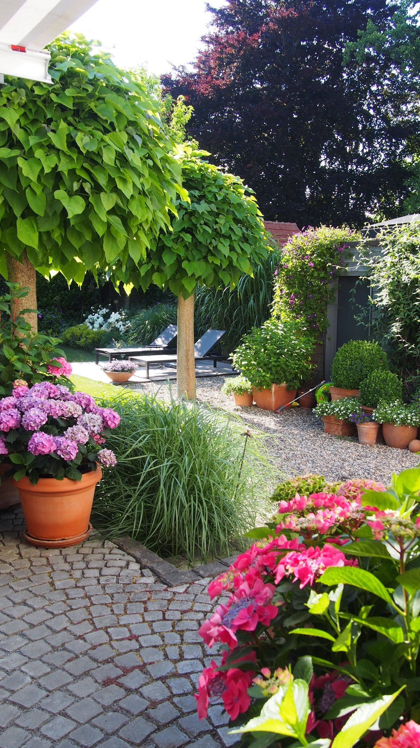 Kleiner Garten