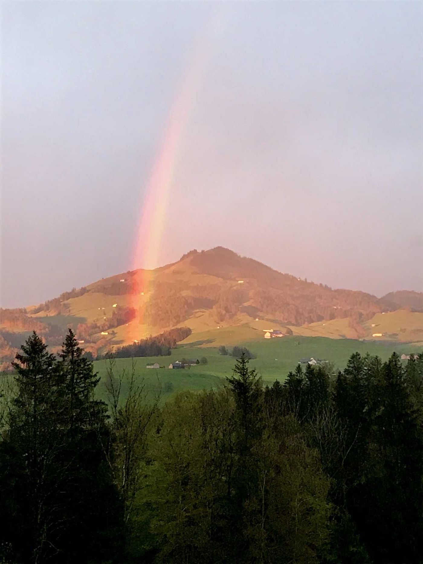 Regenbogen