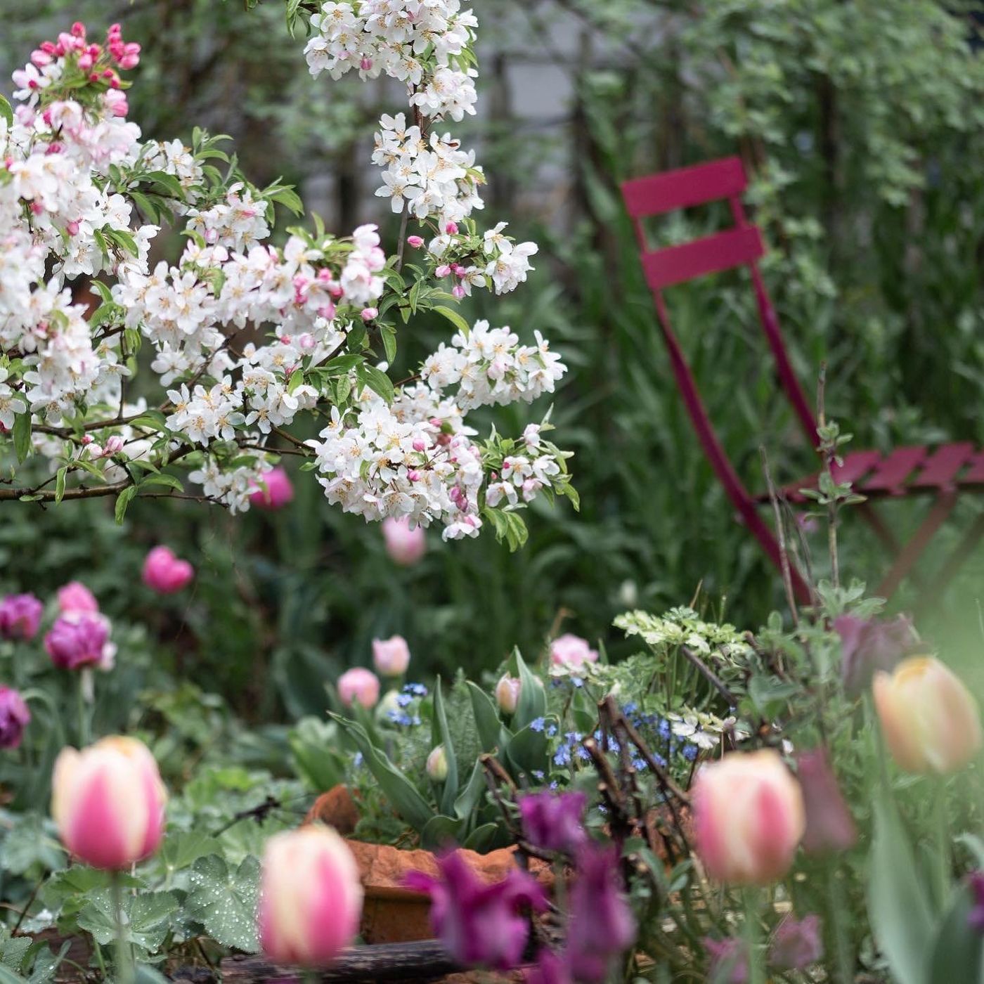 Frühlingsgarten